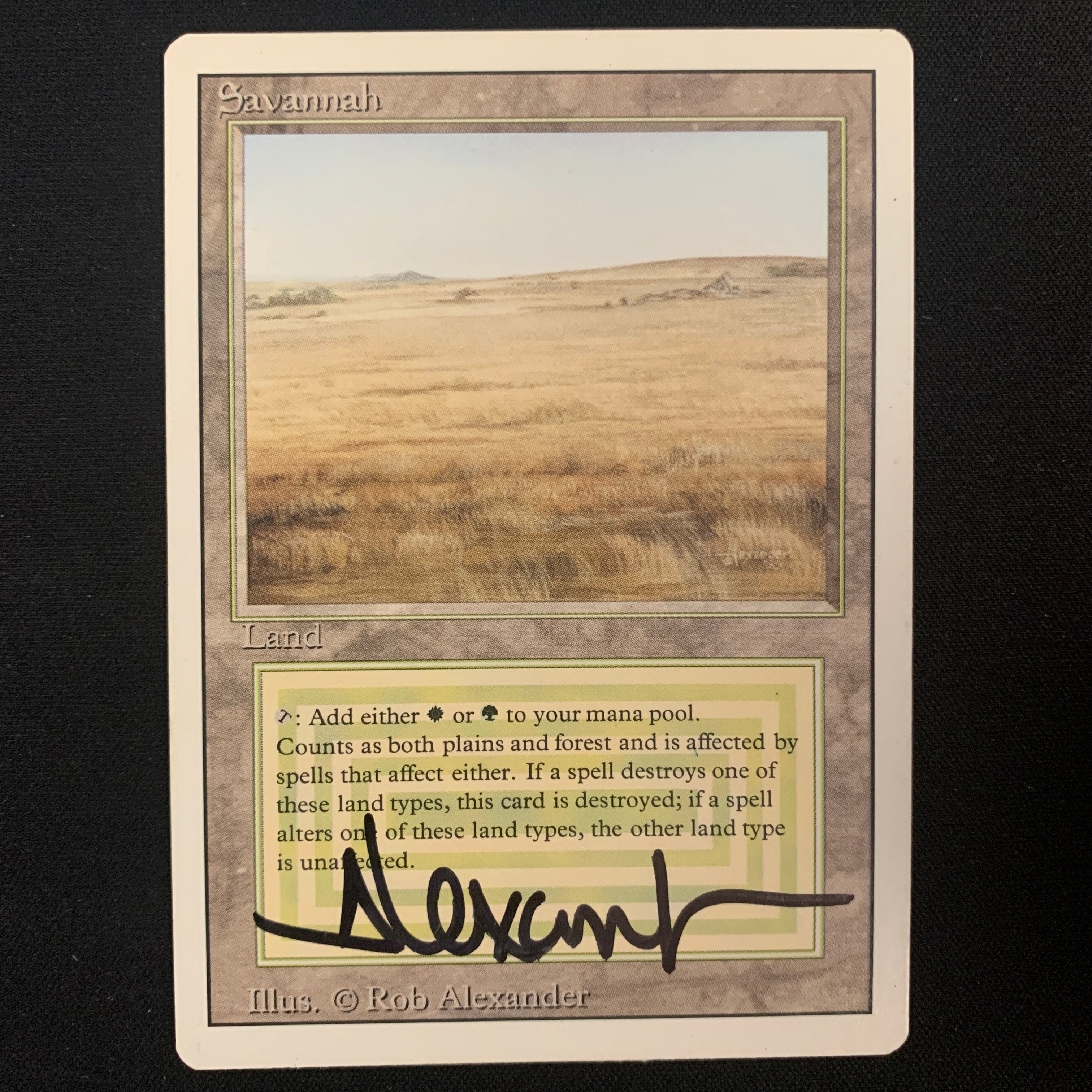 MTG Singles - Savannah - Revised - GD - SIGNED - 24850