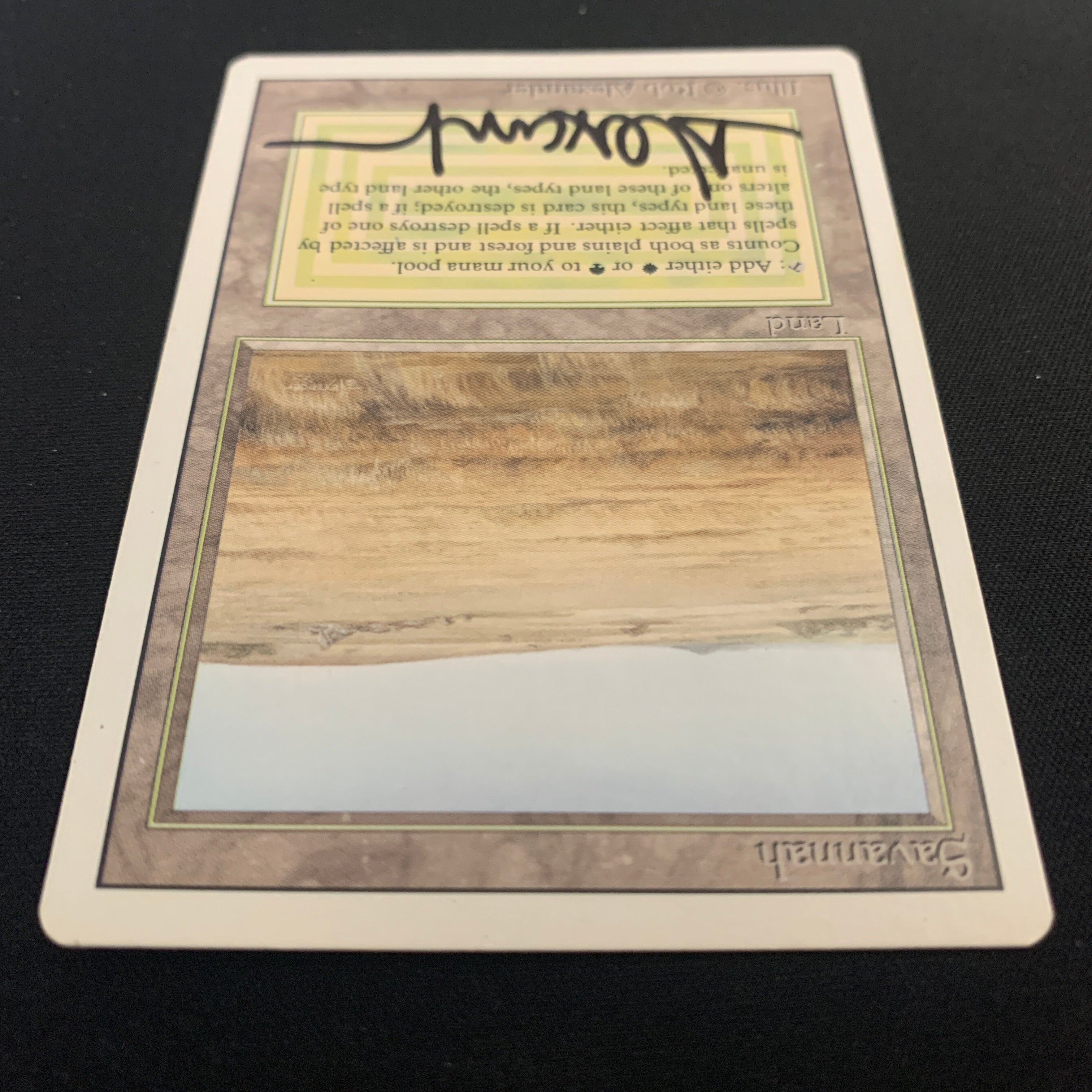 MTG Singles - Savannah - Revised - 