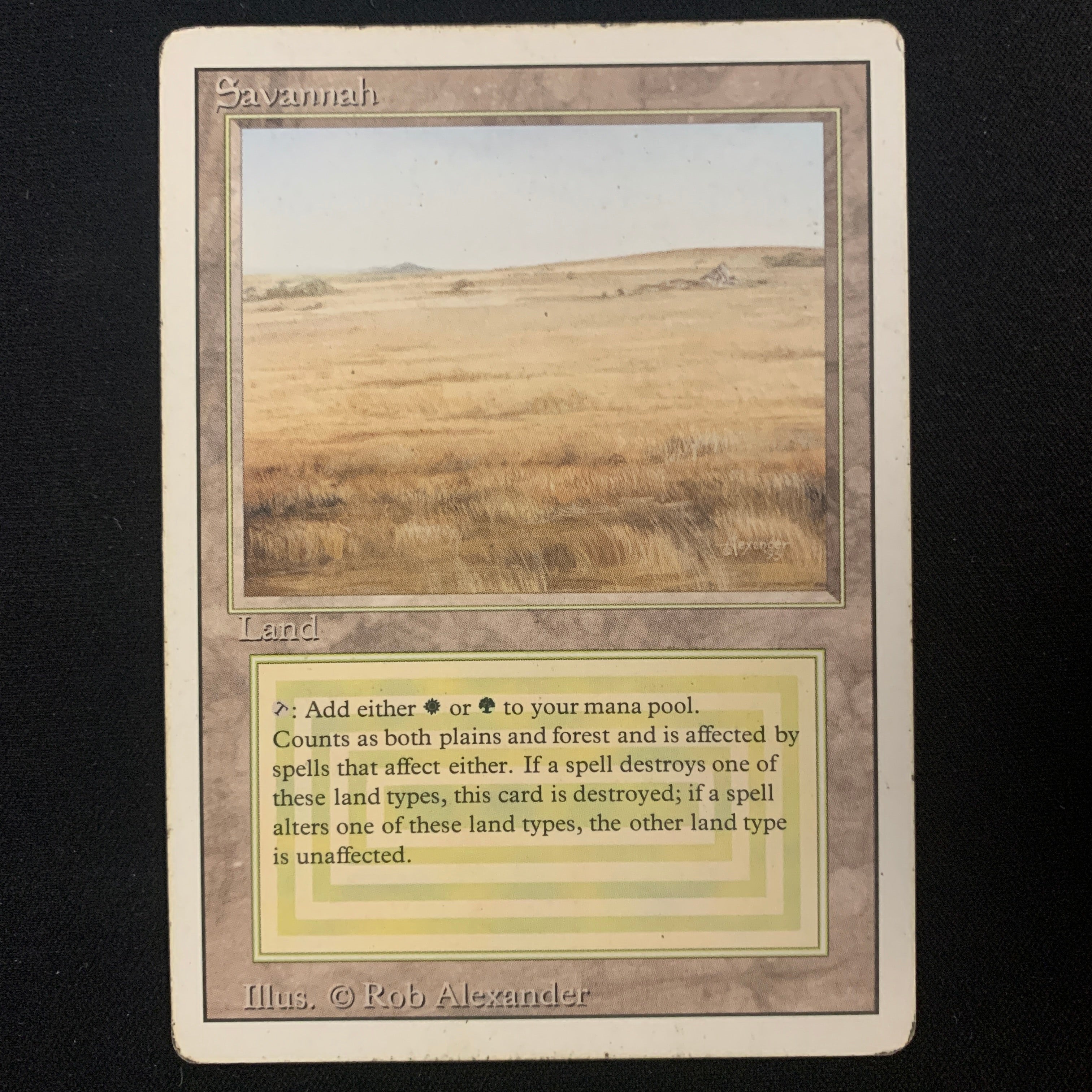 MTG Singles - Savannah - Revised - PL - 24851