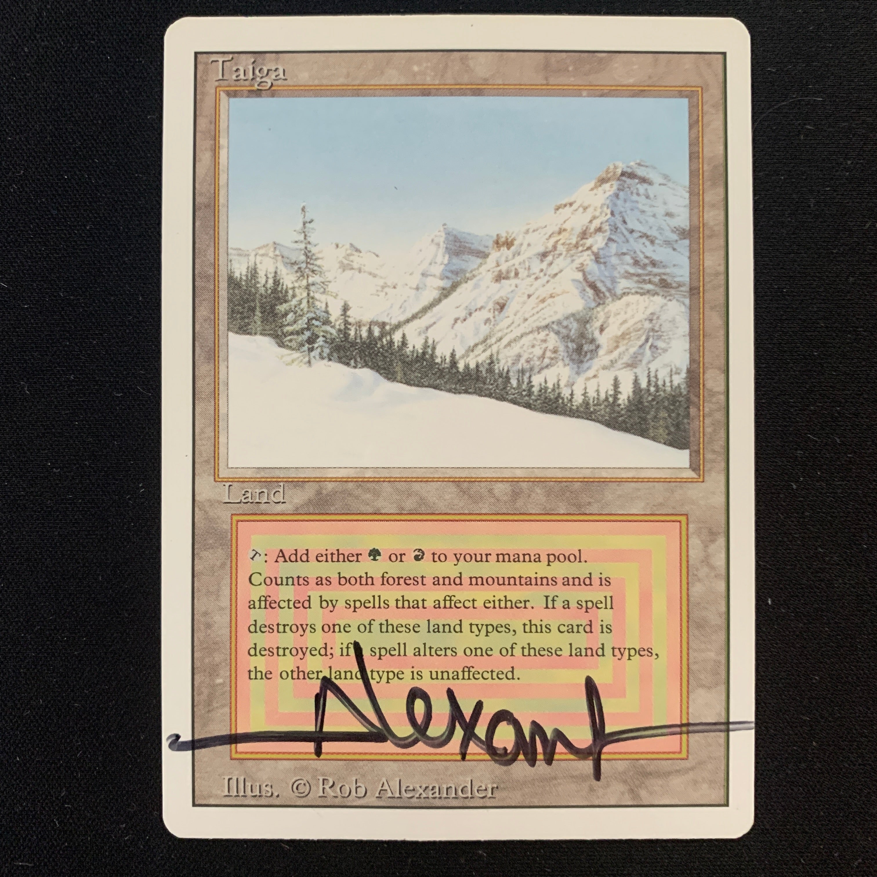 MTG Singles - Taiga - Revised - NM - SIGNED - 24860