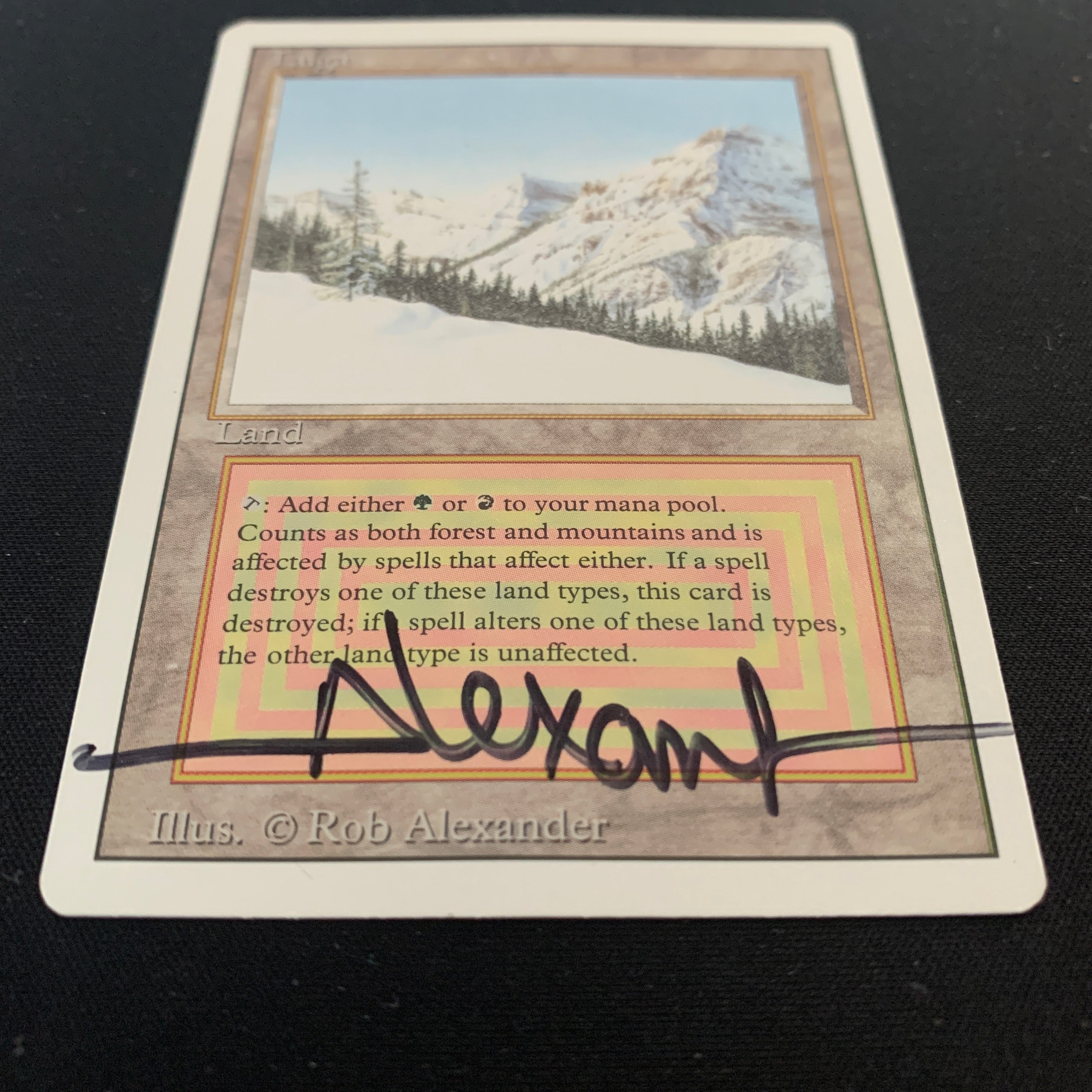 MTG Singles - Taiga - Revised - 