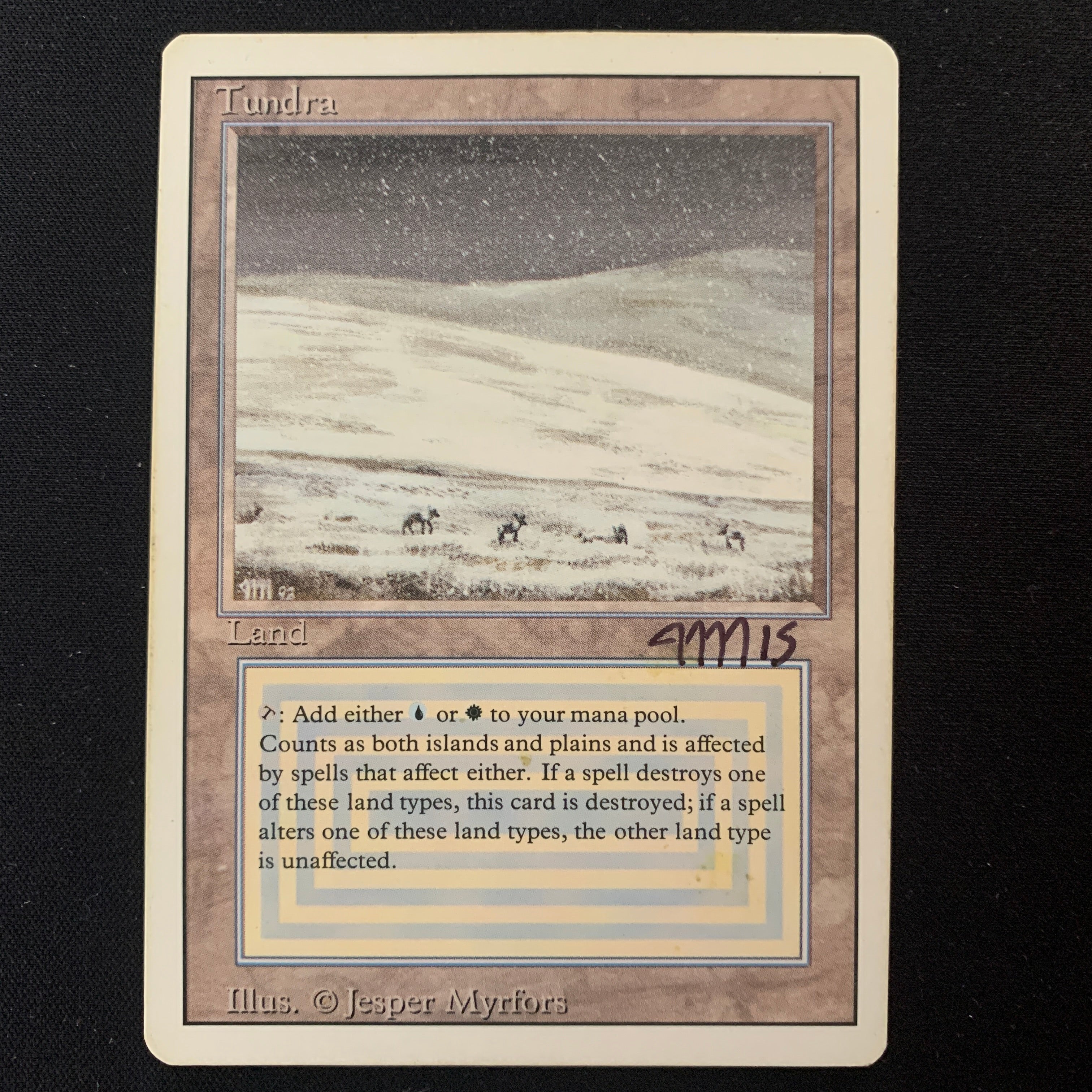 MTG Singles - Tundra - Revised - 