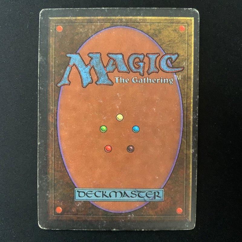 Magic the Gathering Wheel of Fortune - Revised 