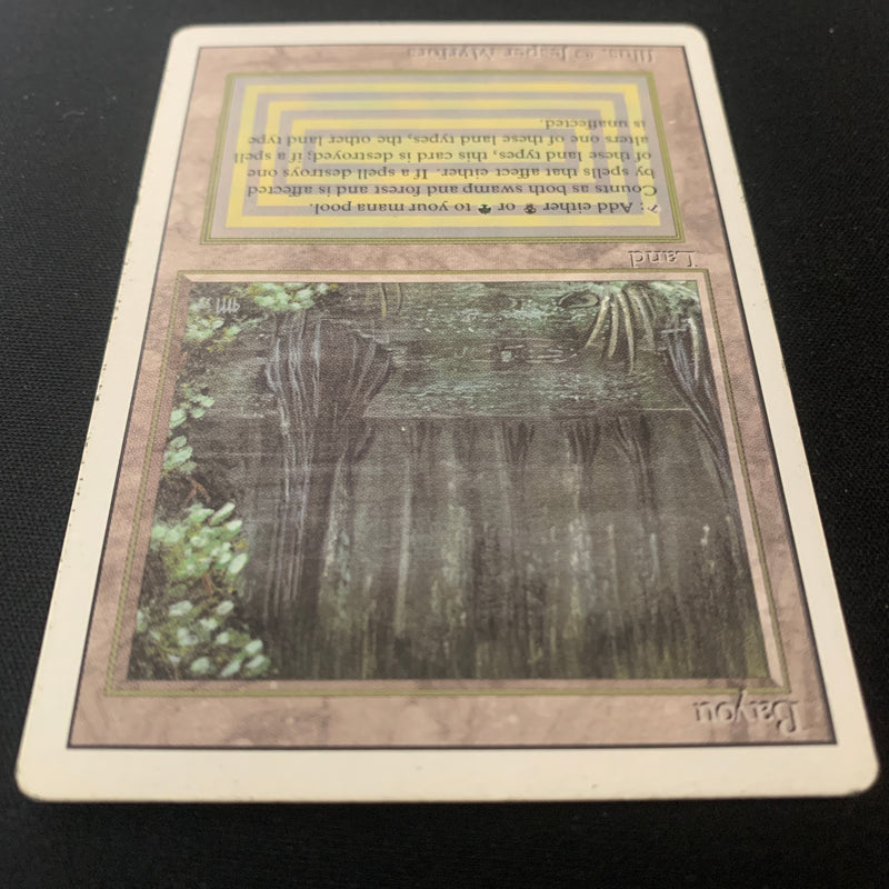 Magic the Gathering Bayou - Revised 