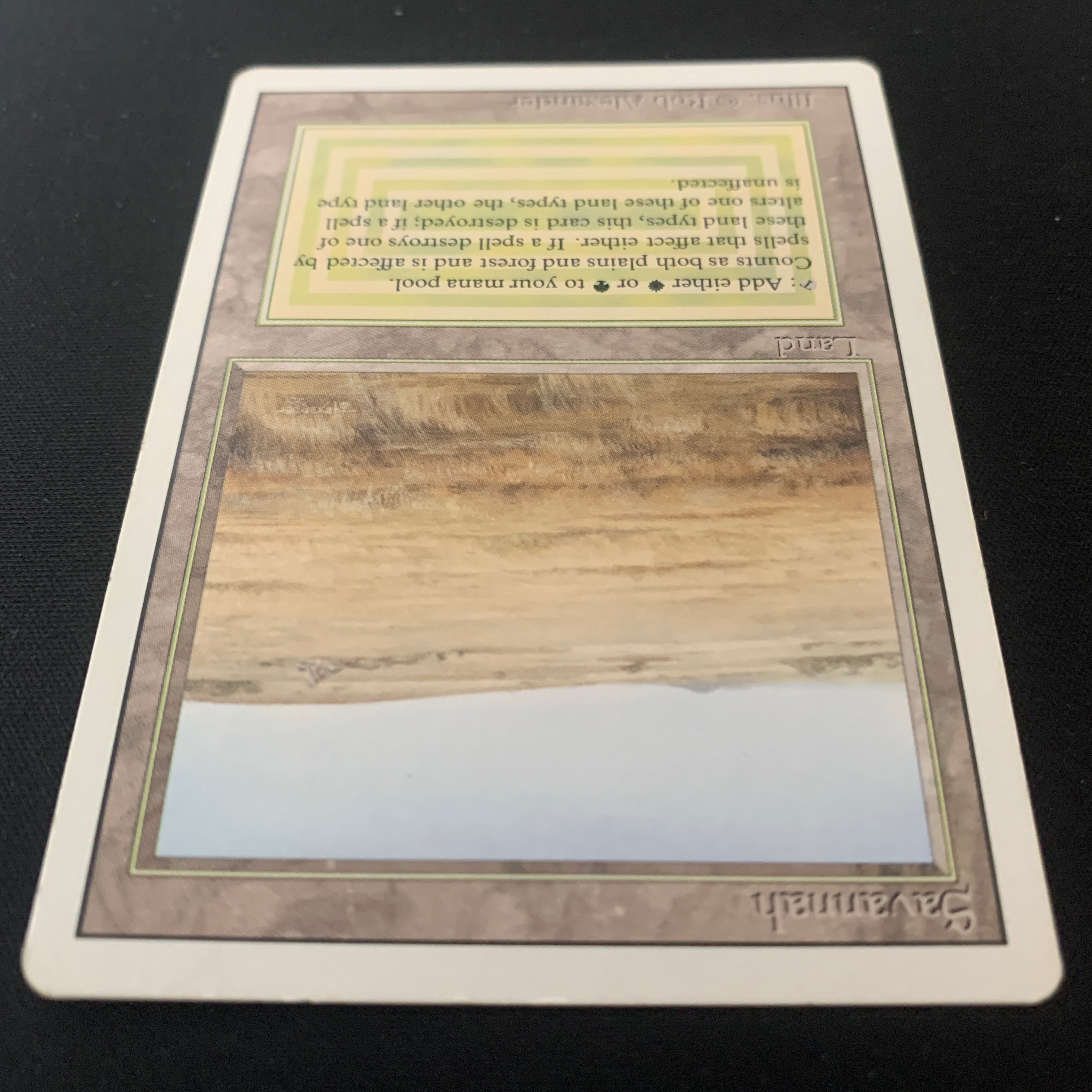 MTG Singles - Savannah - Revised - 