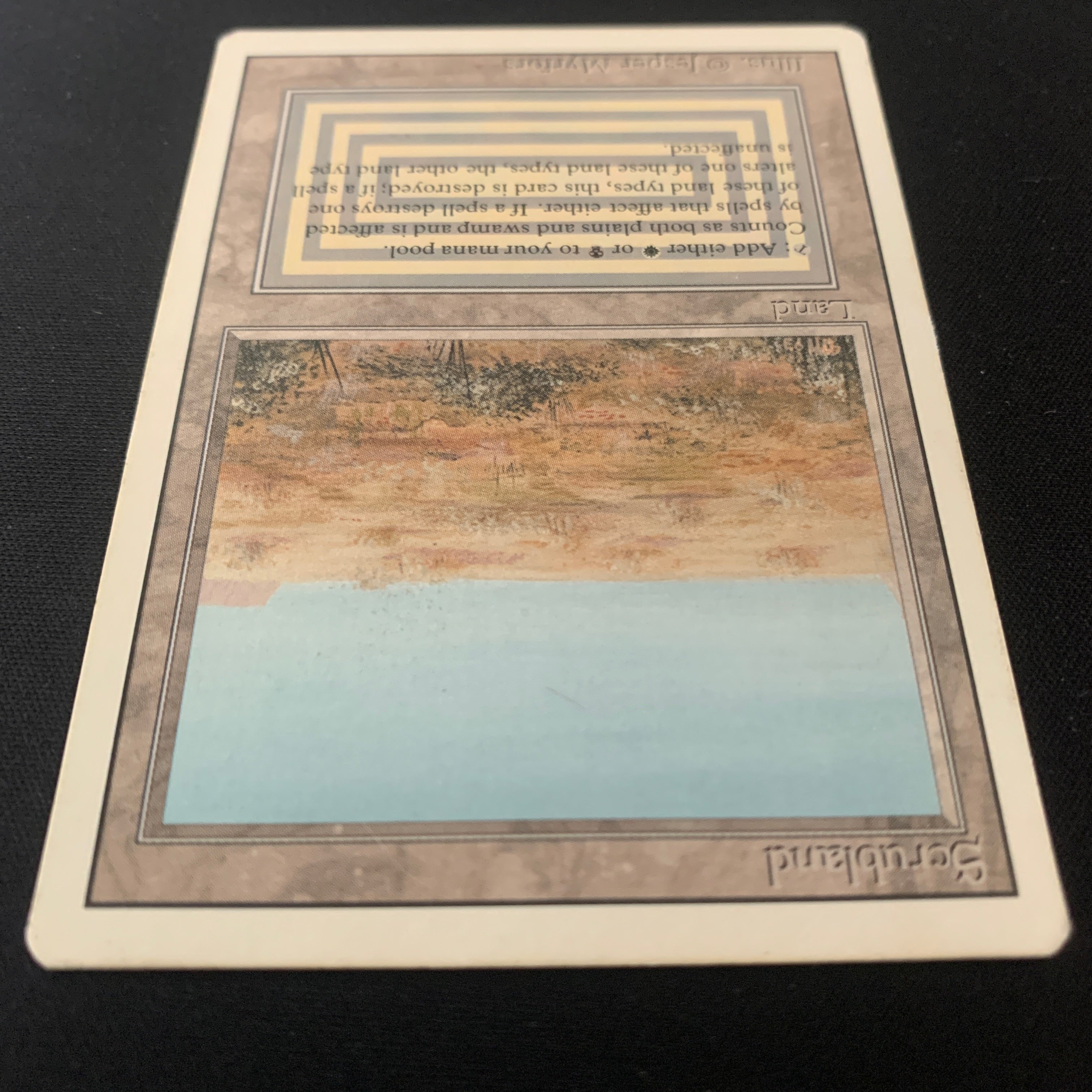 MTG Singles - Scrubland - Revised - 