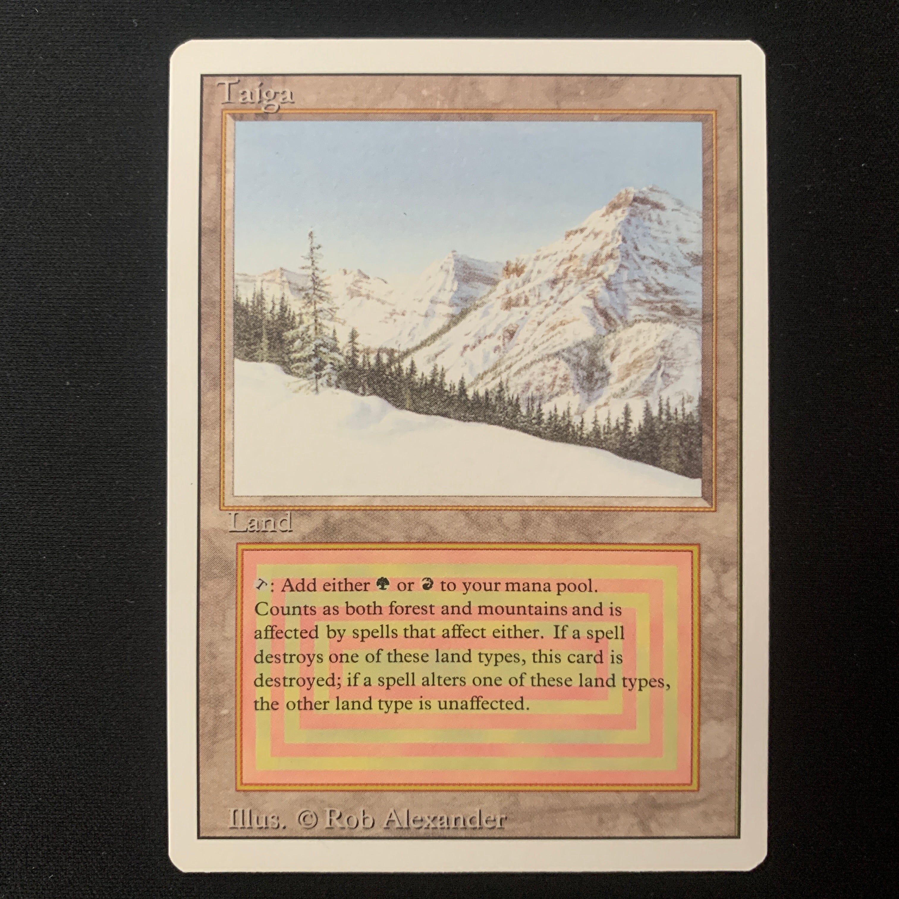 MTG Singles - Taiga - Revised - NM - 25160