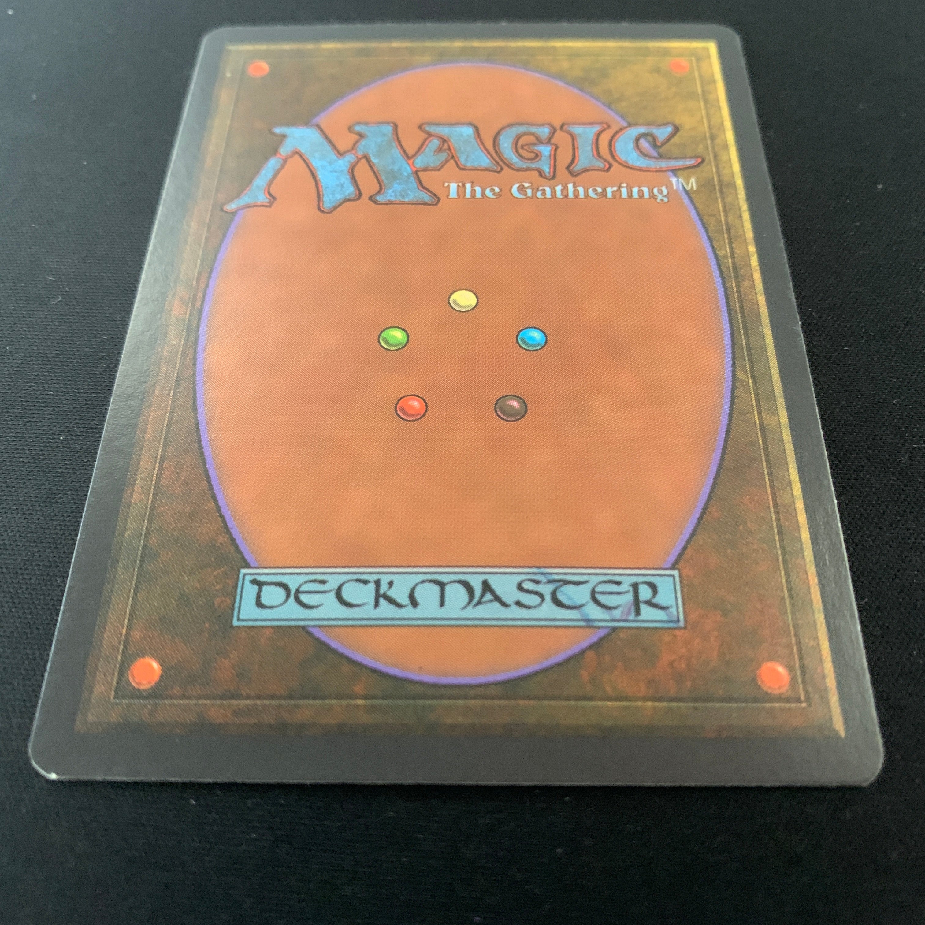 MTG Singles - Taiga - Revised - 