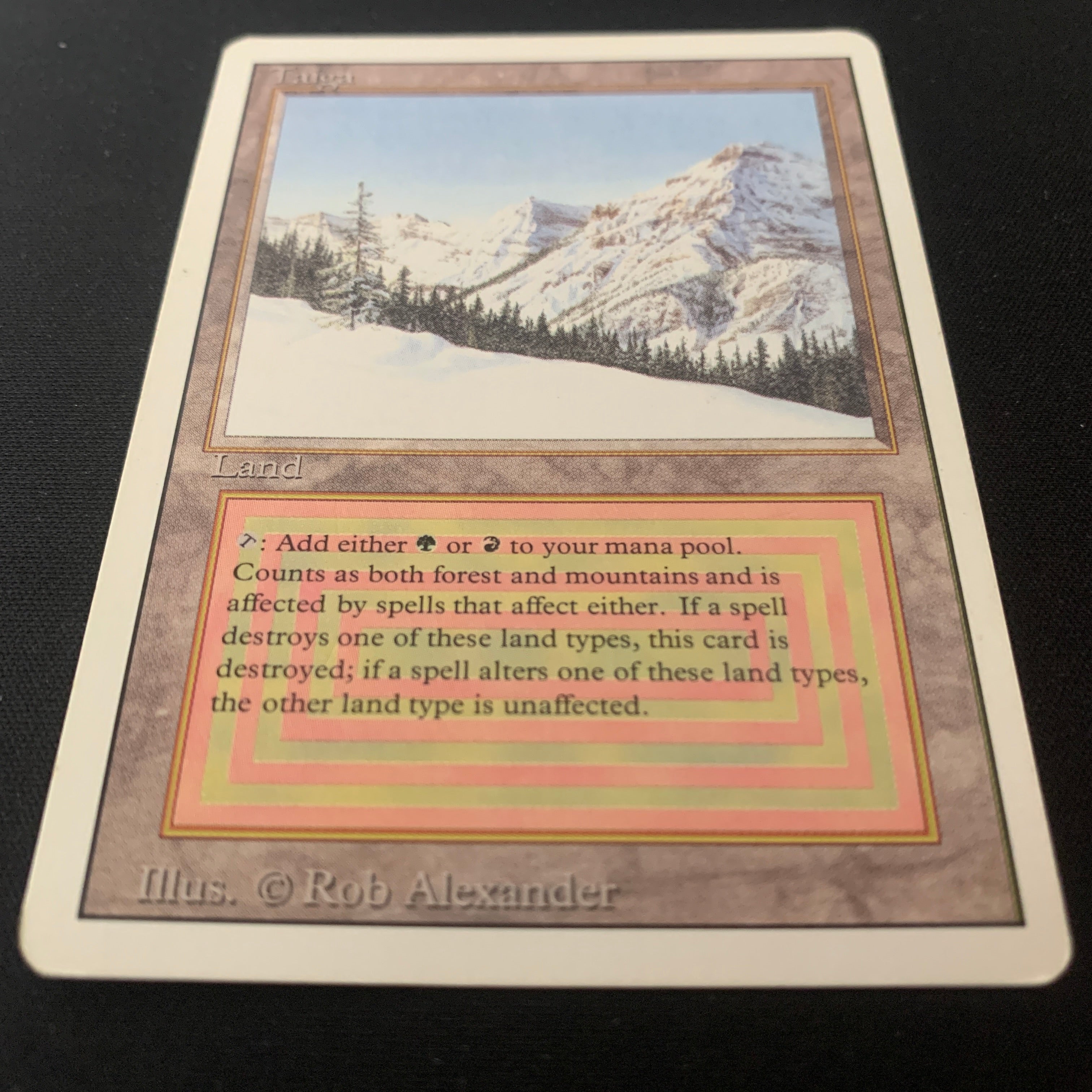 MTG Singles - Taiga - Revised - 