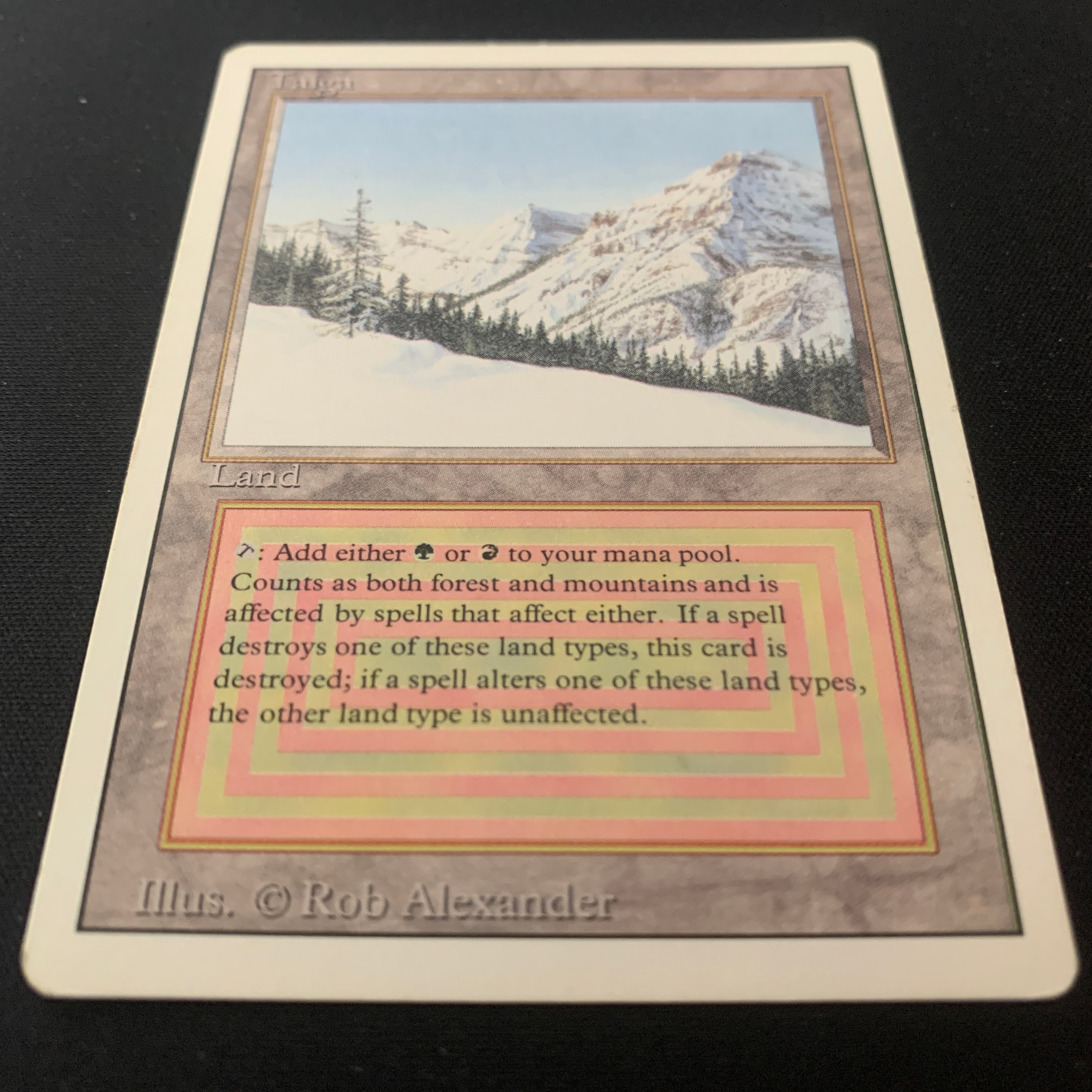 MTG Singles - Taiga - Revised - 