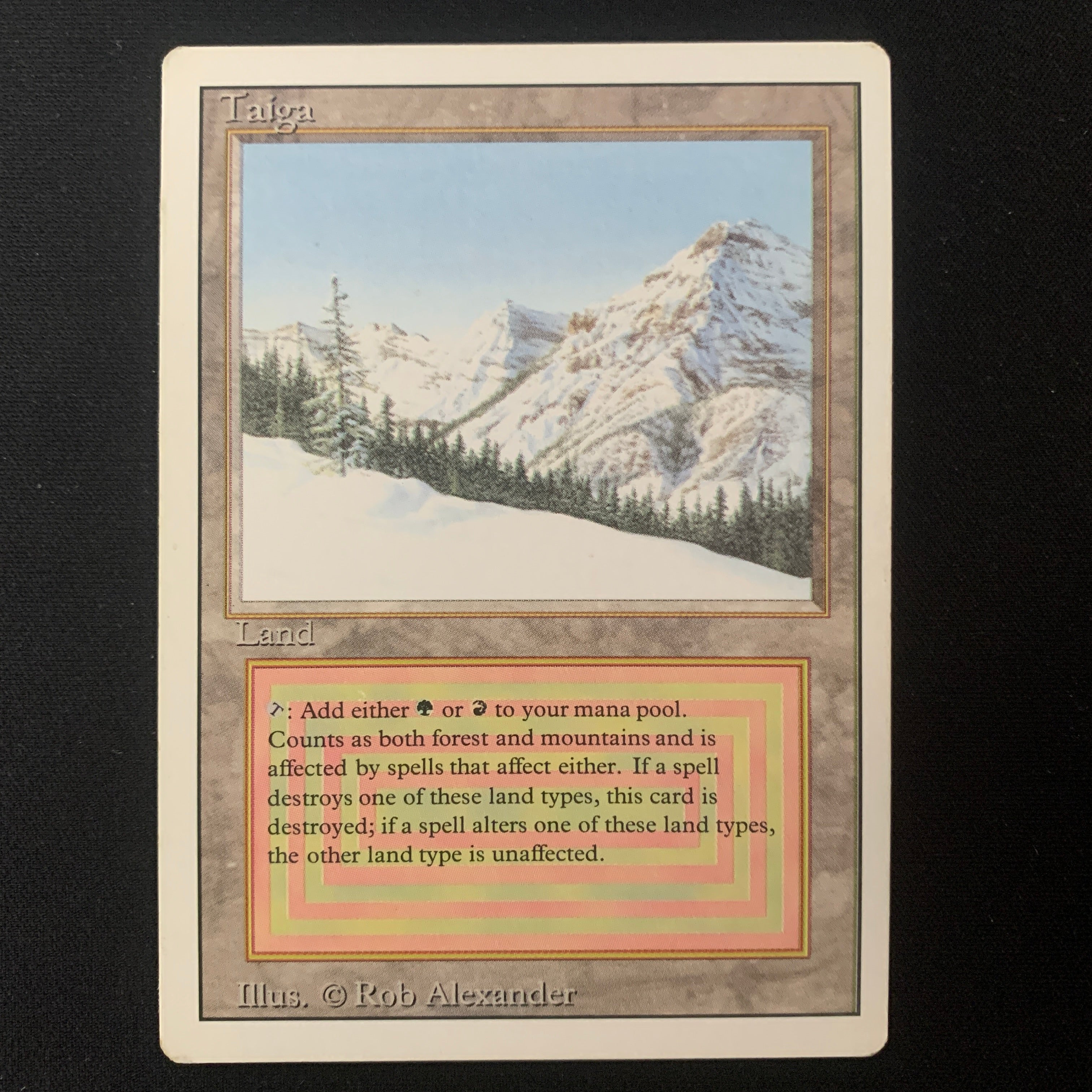 MTG Singles - Taiga - Revised - PL - 25163