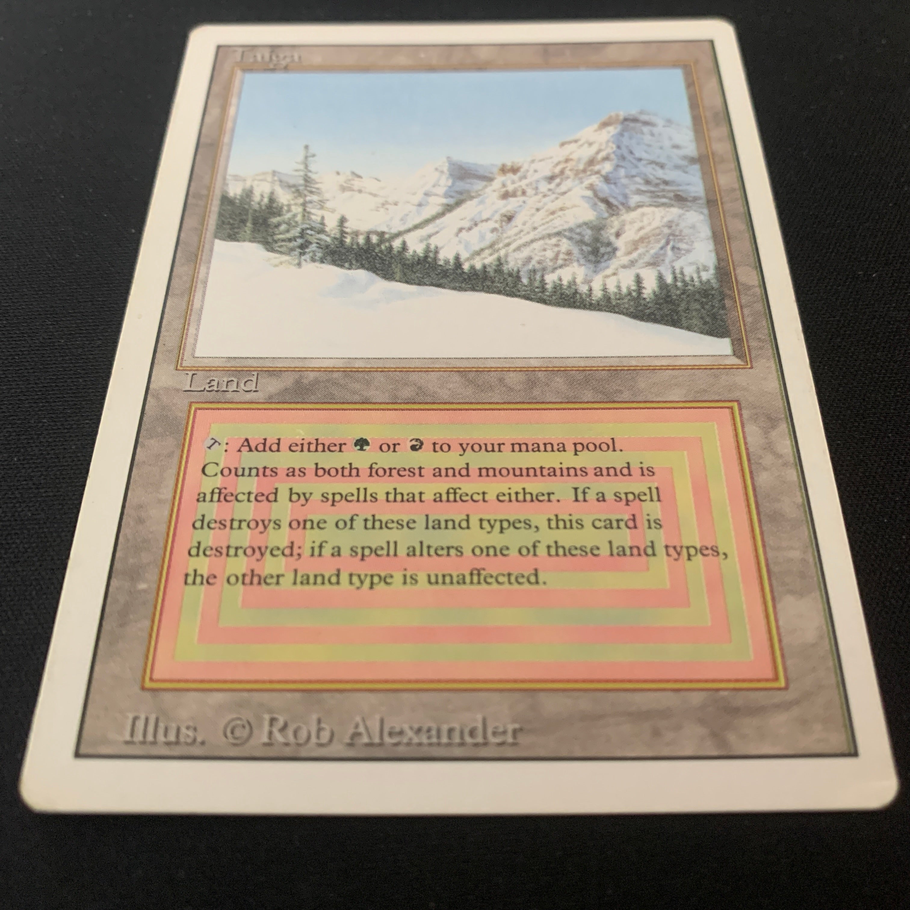 MTG Singles - Taiga - Revised - 