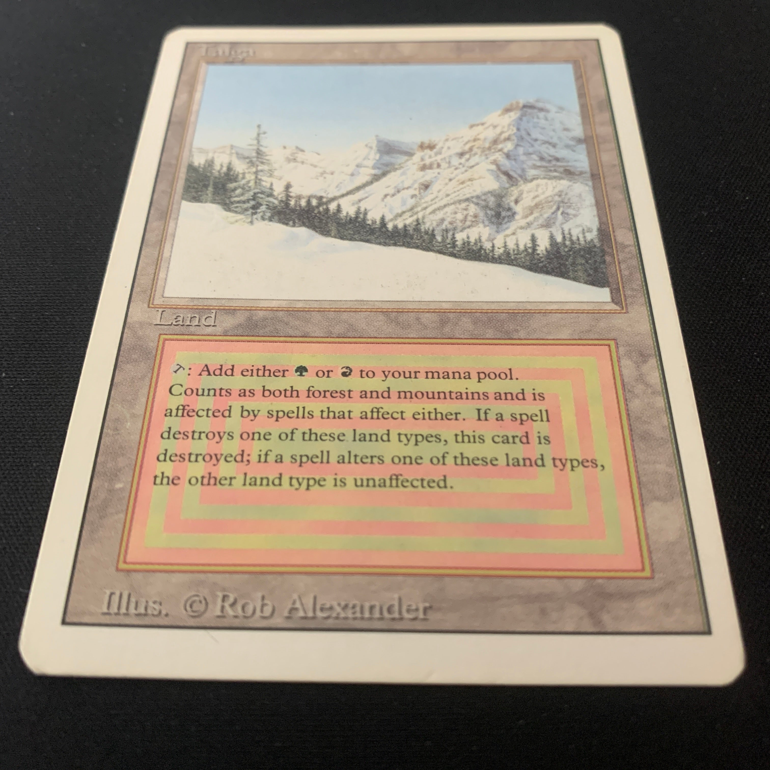 MTG Singles - Taiga - Revised - 