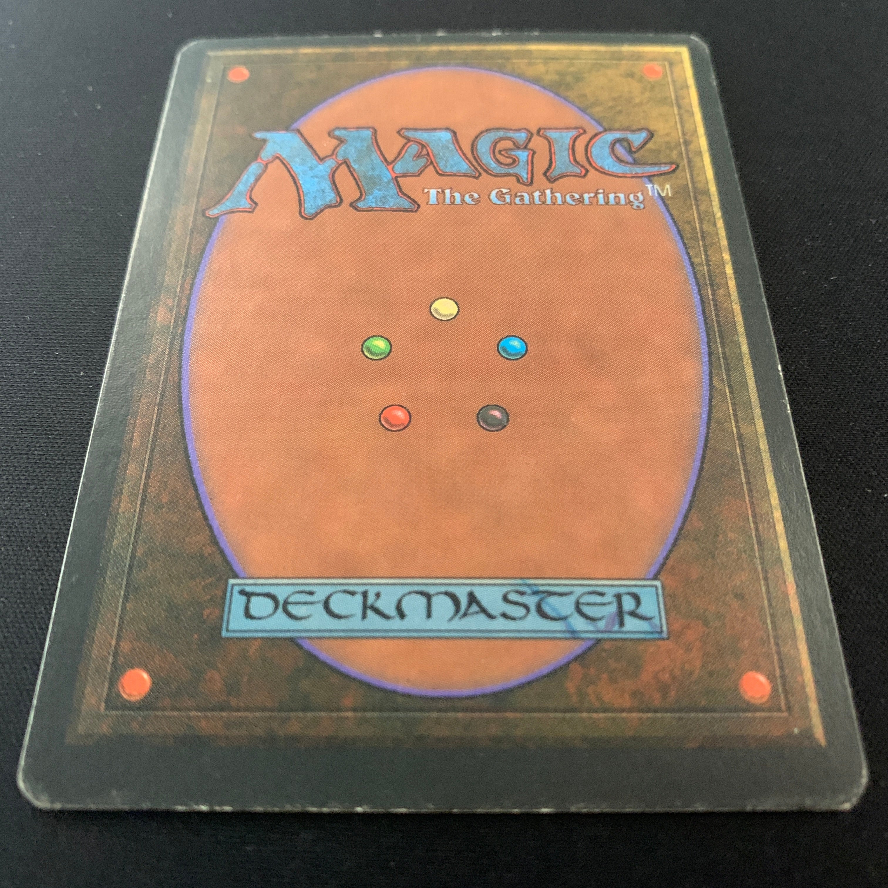 MTG Singles - Taiga - Revised - 