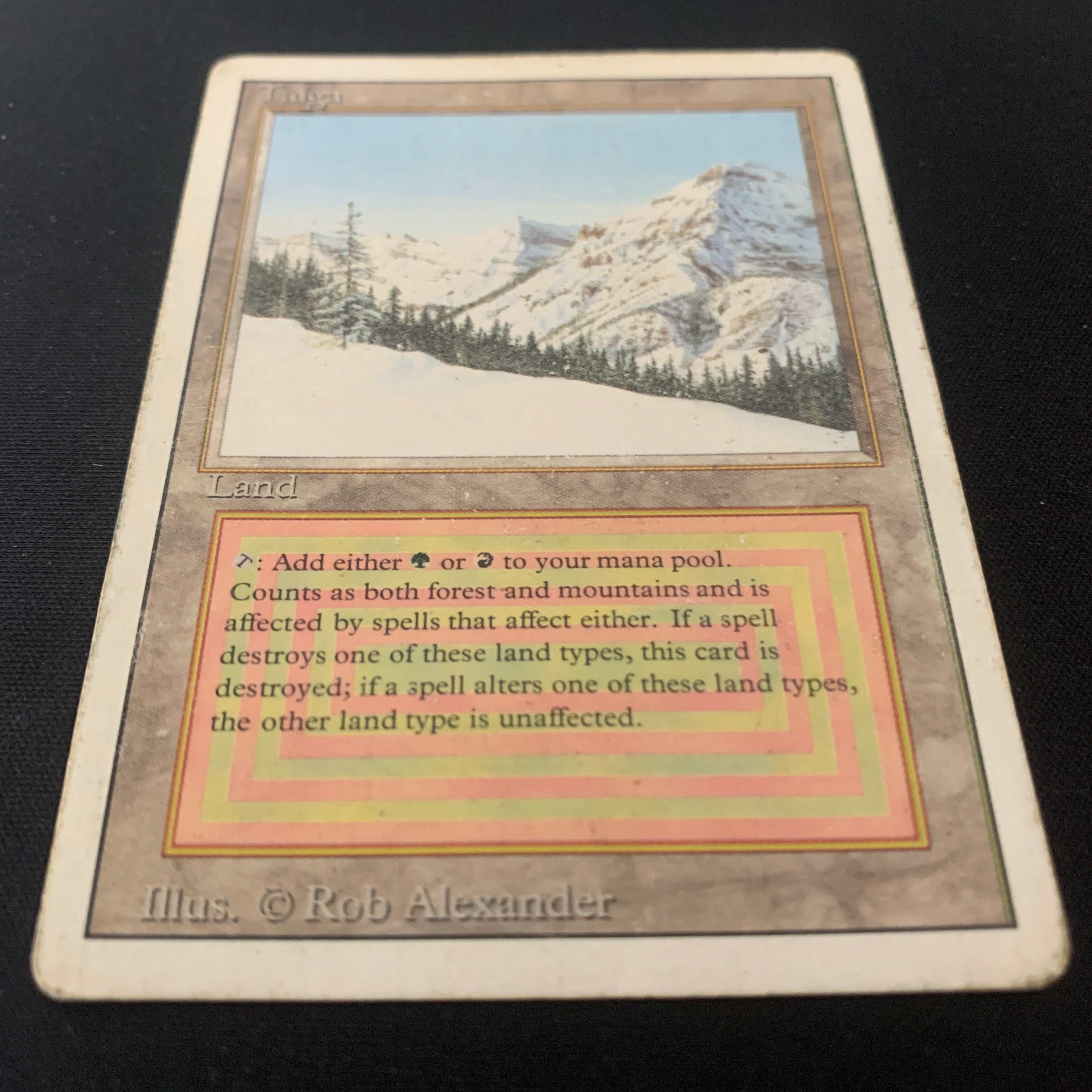 MTG Singles - Taiga - Revised - 