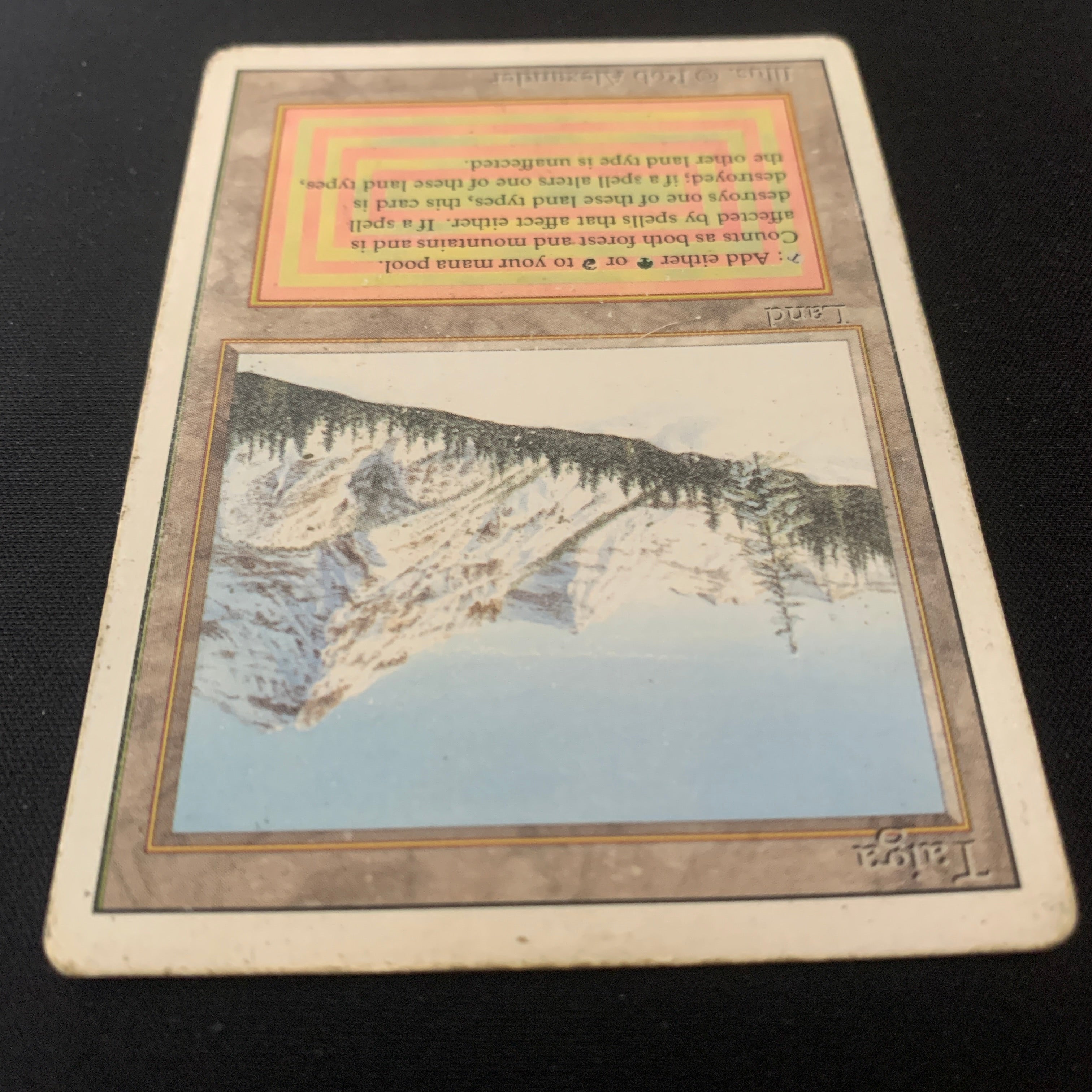 MTG Singles - Taiga - Revised - 