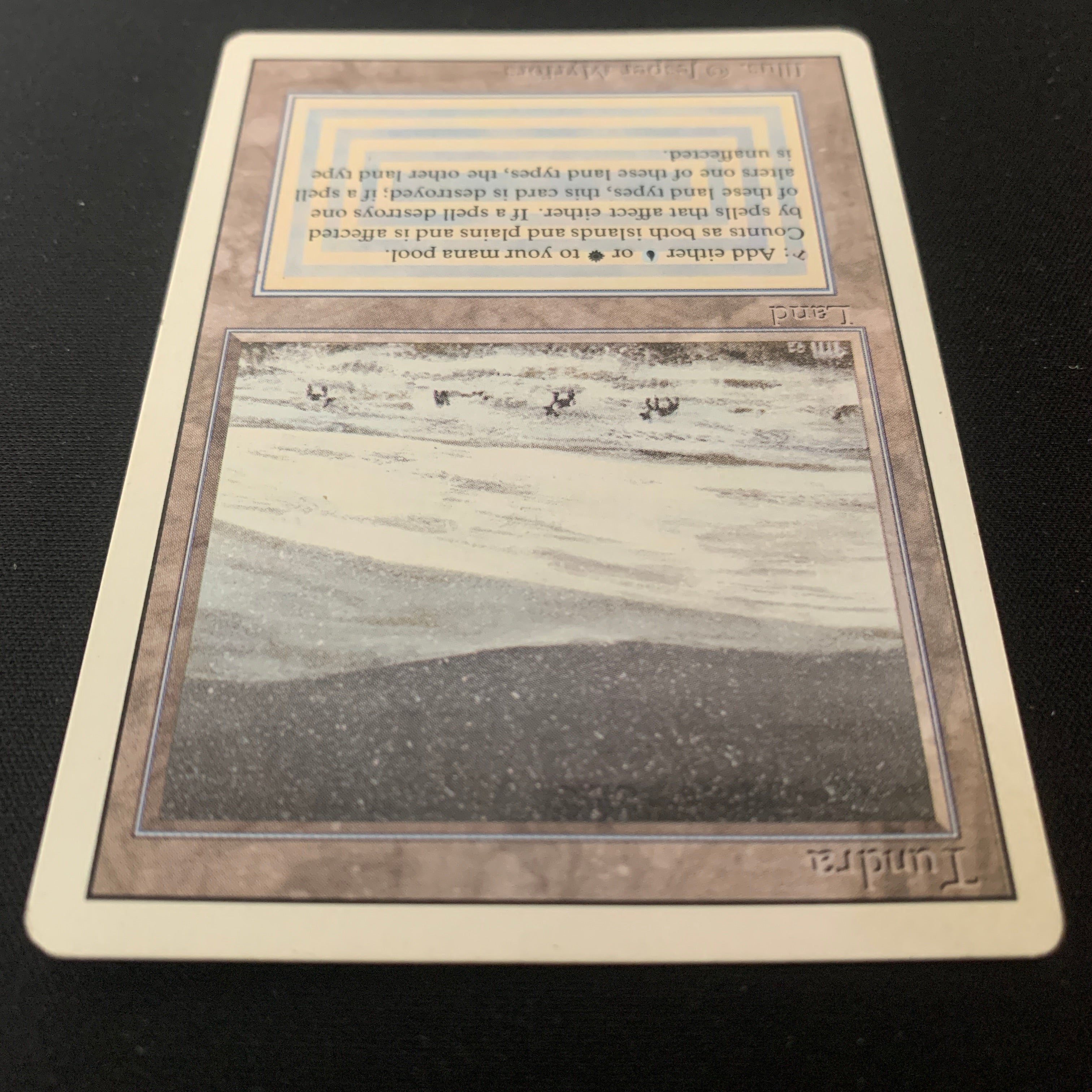MTG Singles - Tundra - Revised - 