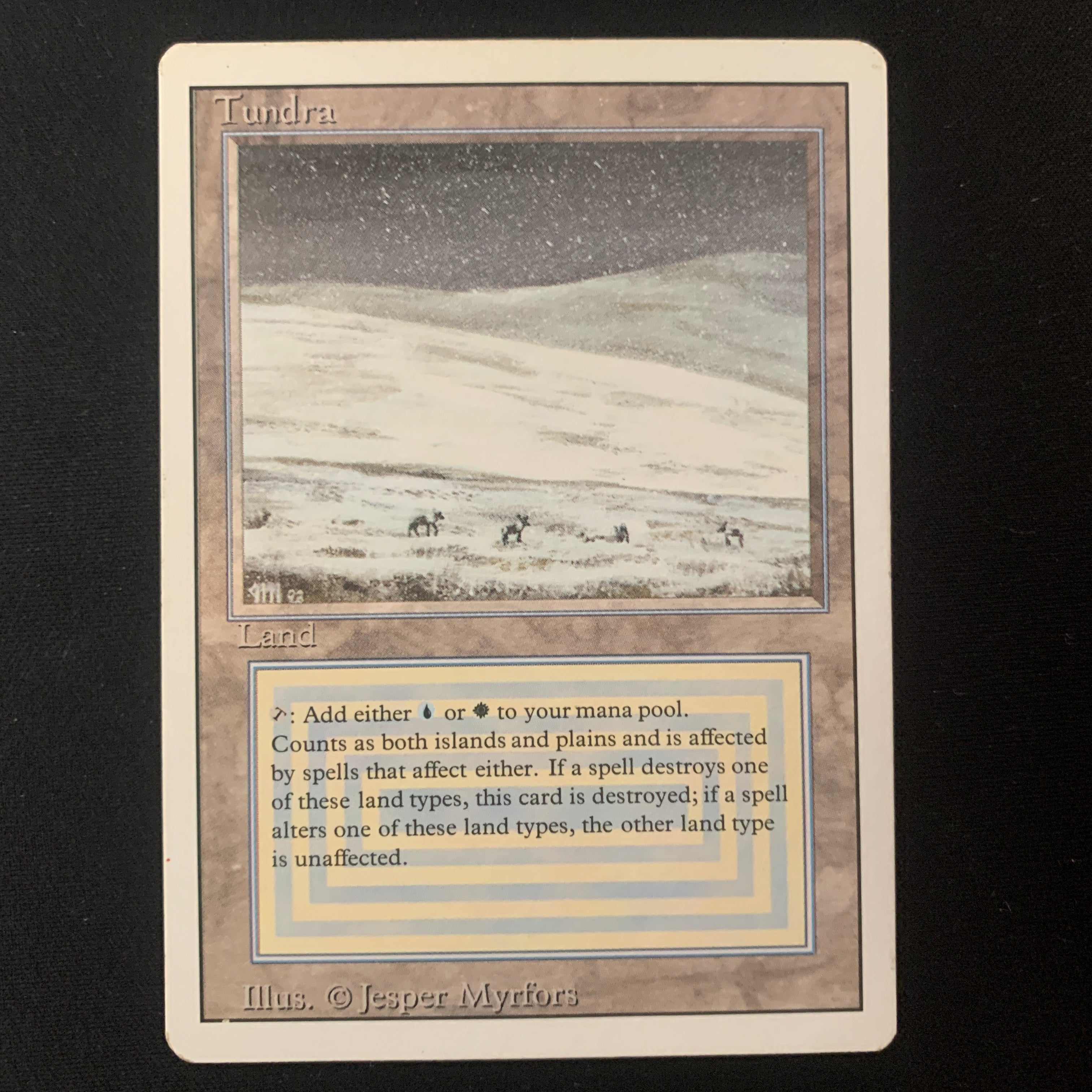 MTG Singles - Tundra - Revised - PL - 25170