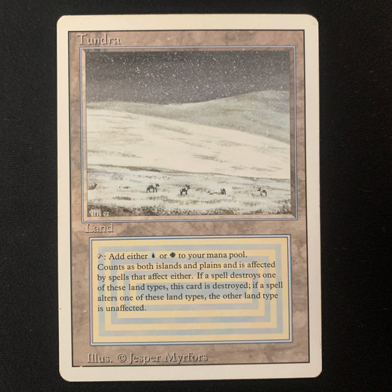 Magic the Gathering Tundra - Revised PL - 25170