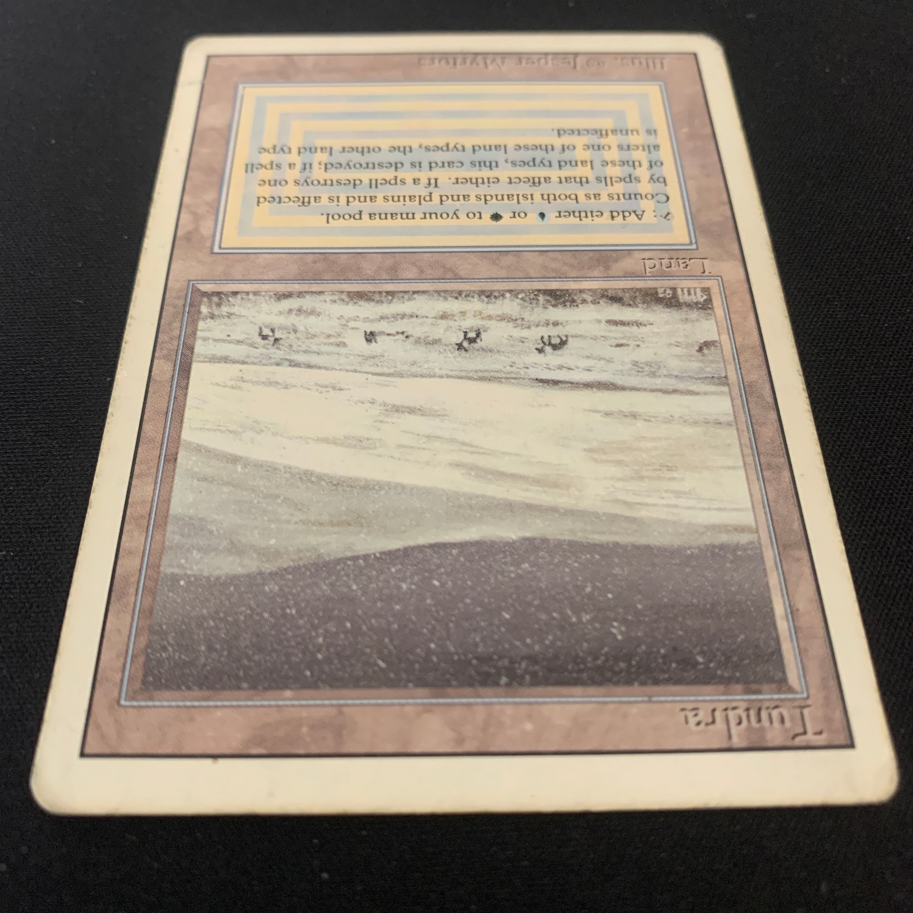 MTG Singles - Tundra - Revised - 