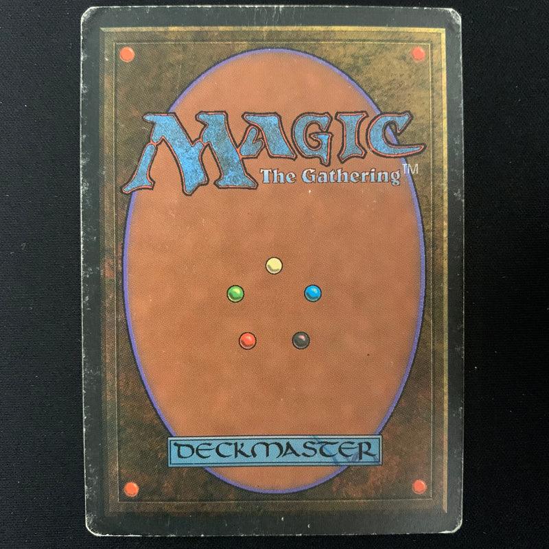Magic the Gathering Savannah - Foreign Black Bordered - Italian 