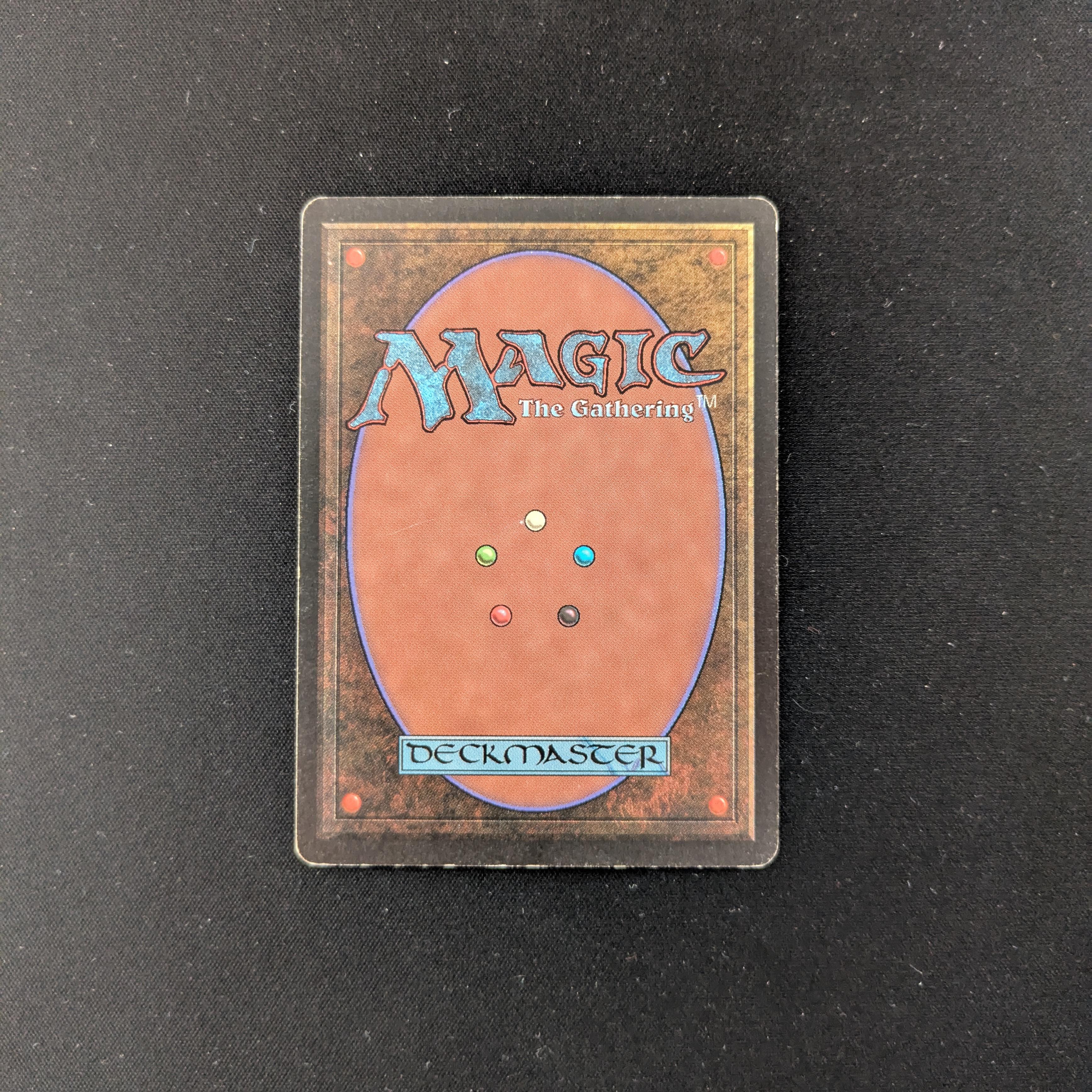 MTG Singles - Northern Paladin - Beta - 