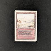 MTG Singles - Badlands - Revised - LP - 25298