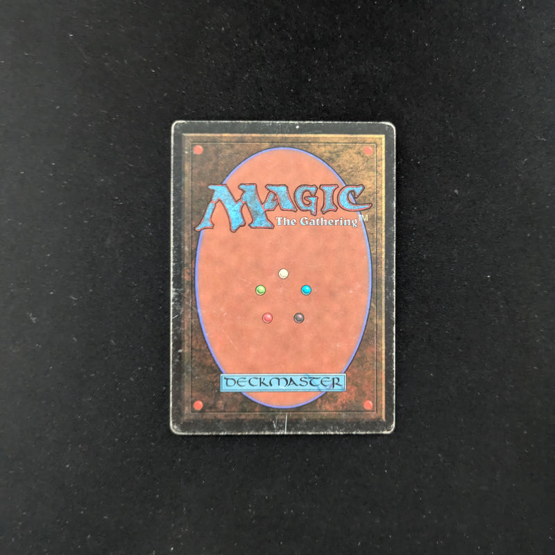 Magic the Gathering Bayou - Revised 
