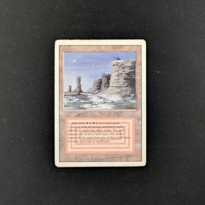 Magic the Gathering Plateau - Revised PL - 25305