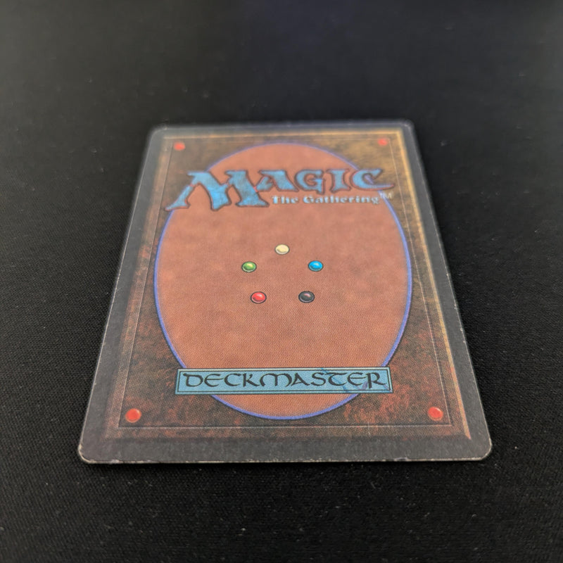 Magic the Gathering Plateau - Revised 