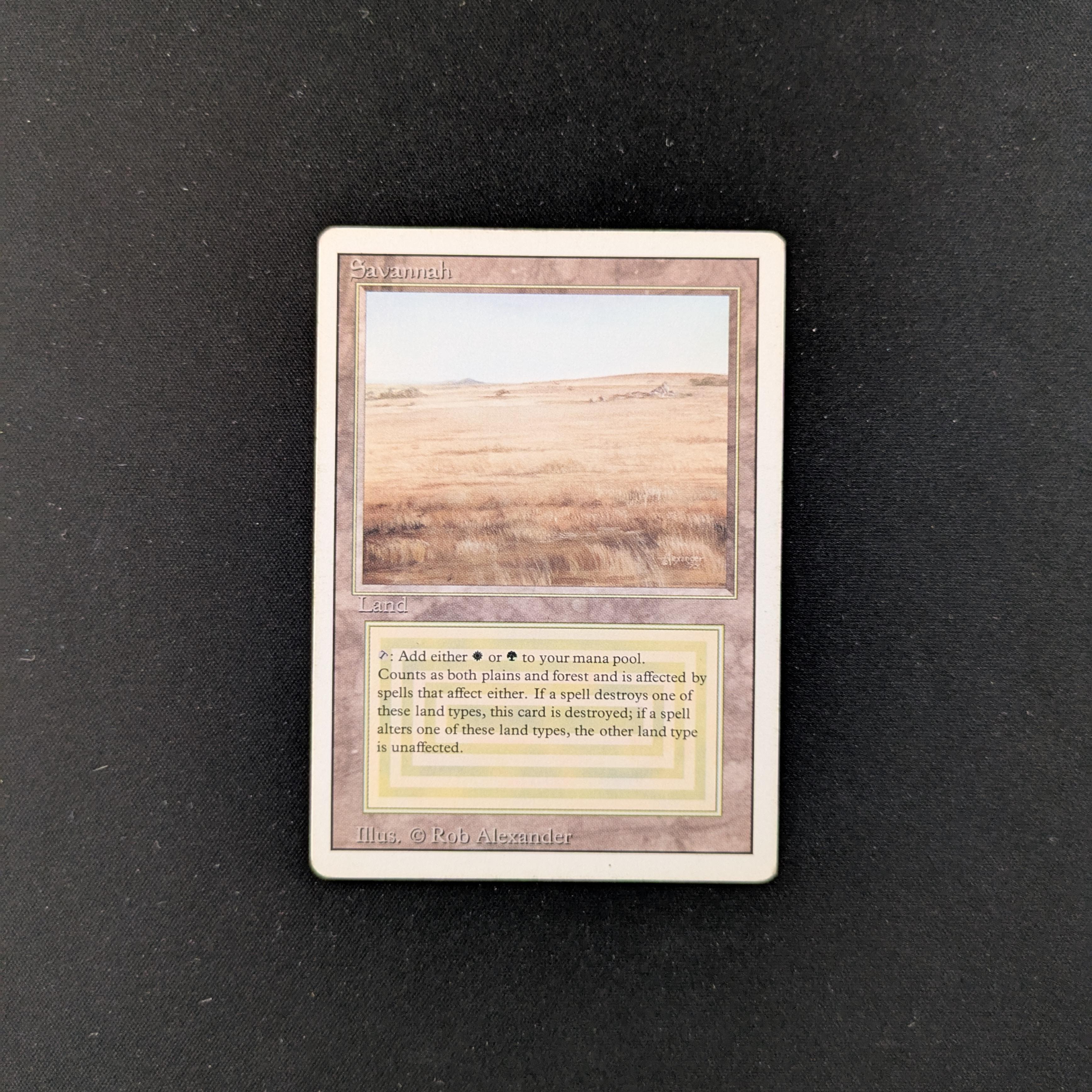 MTG Singles - Savannah - Revised - PL - 25308
