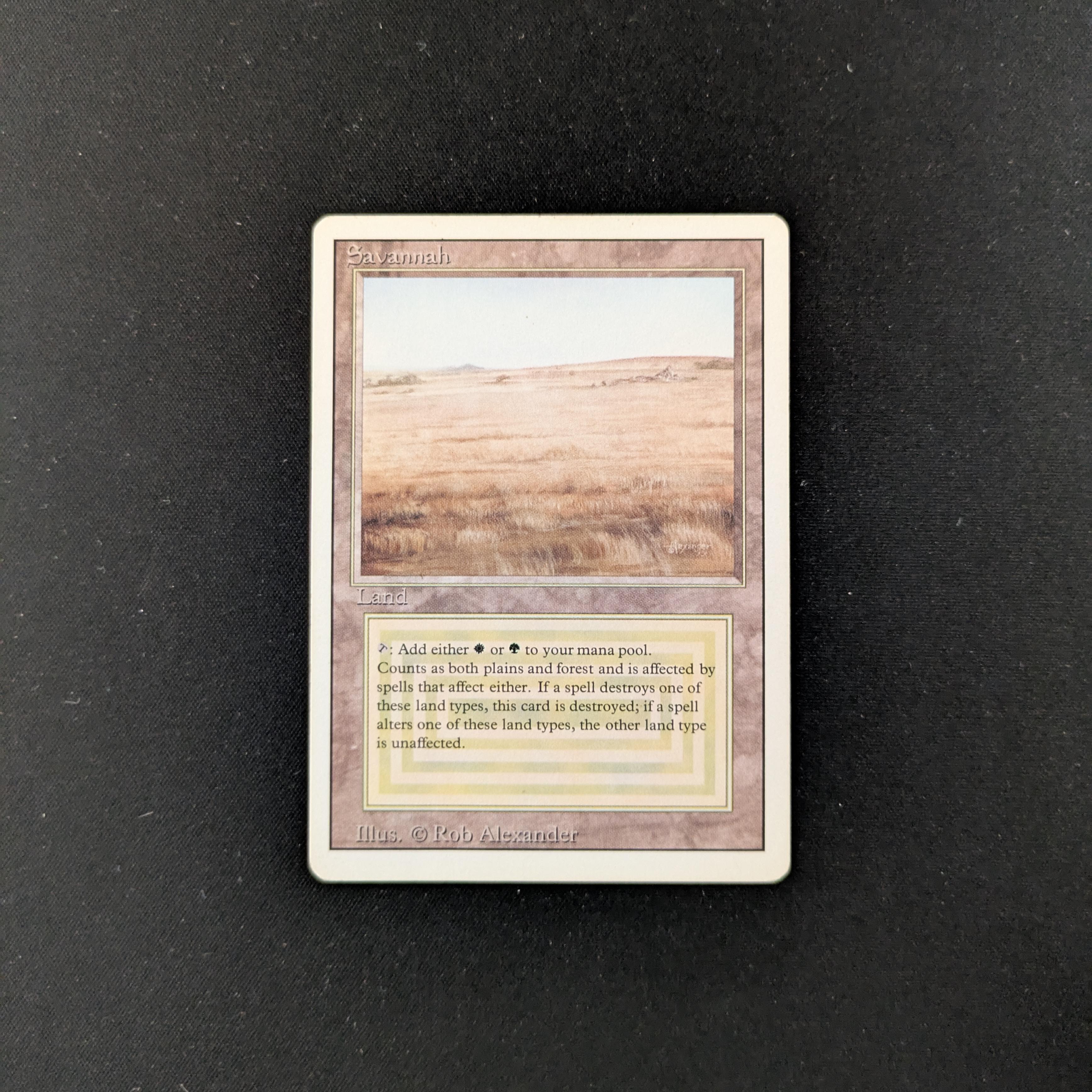 MTG Singles - Savannah - Revised - PL - 25309