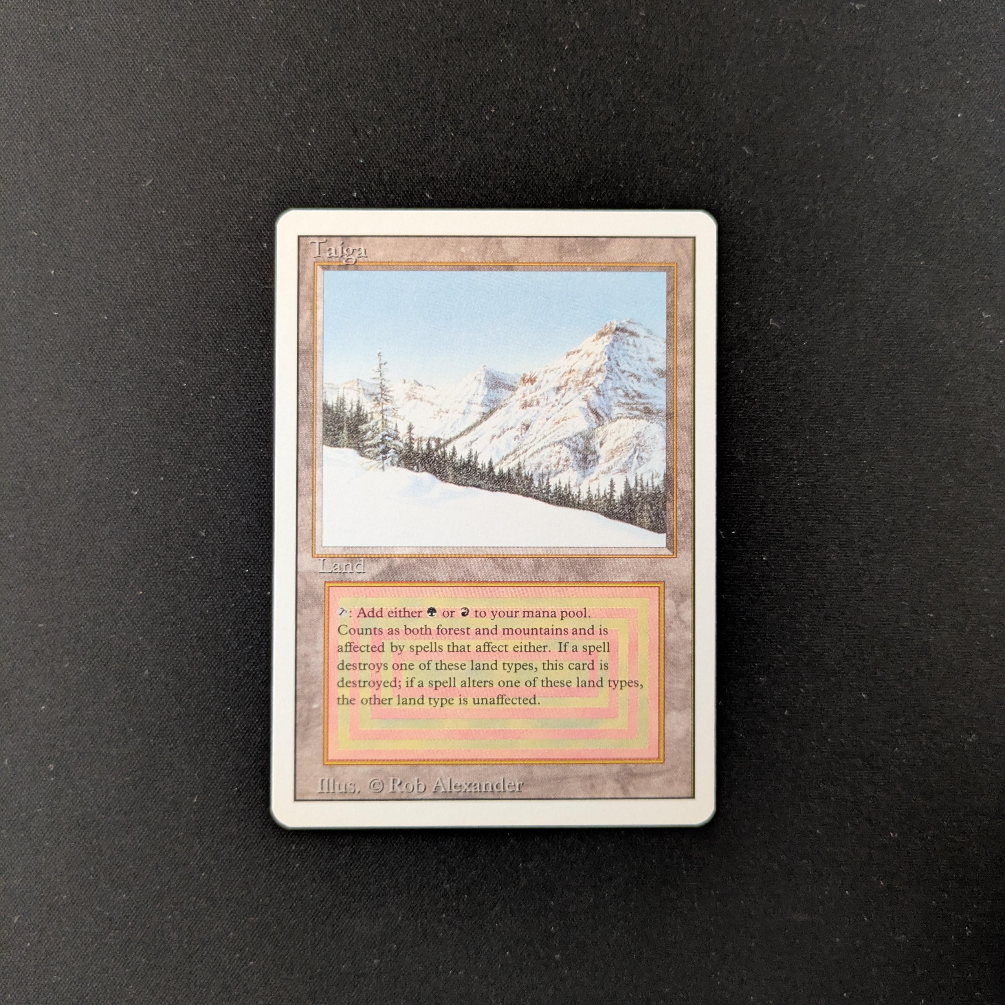 MTG Singles - Taiga - Revised - NM - 25314