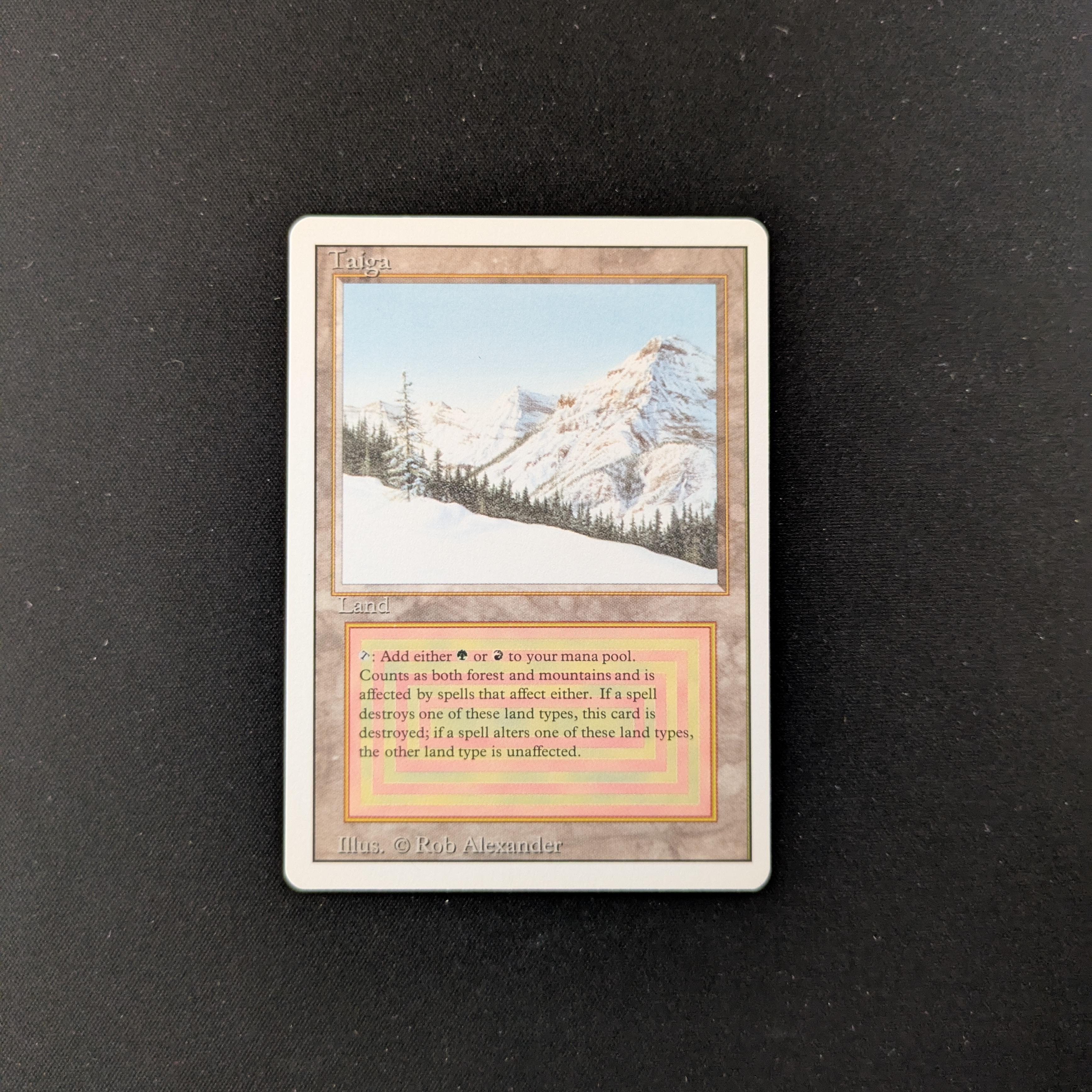 MTG Singles - Taiga - Revised - NM - 25315