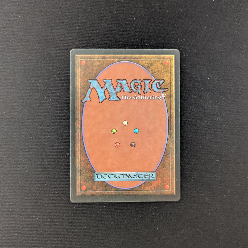 Magic the Gathering Taiga - Foreign Black Bordered - German 