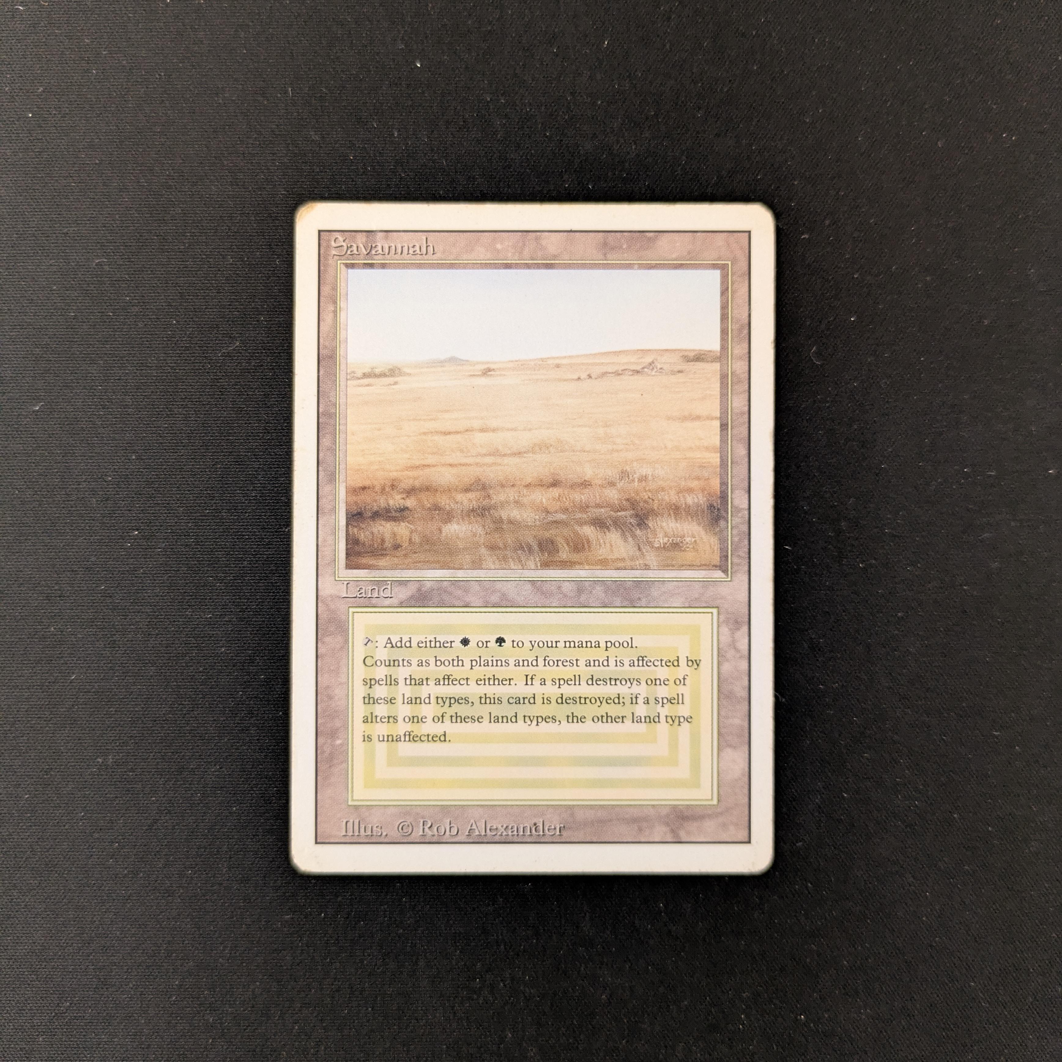 MTG Singles - Savannah - Revised - PO - 25382