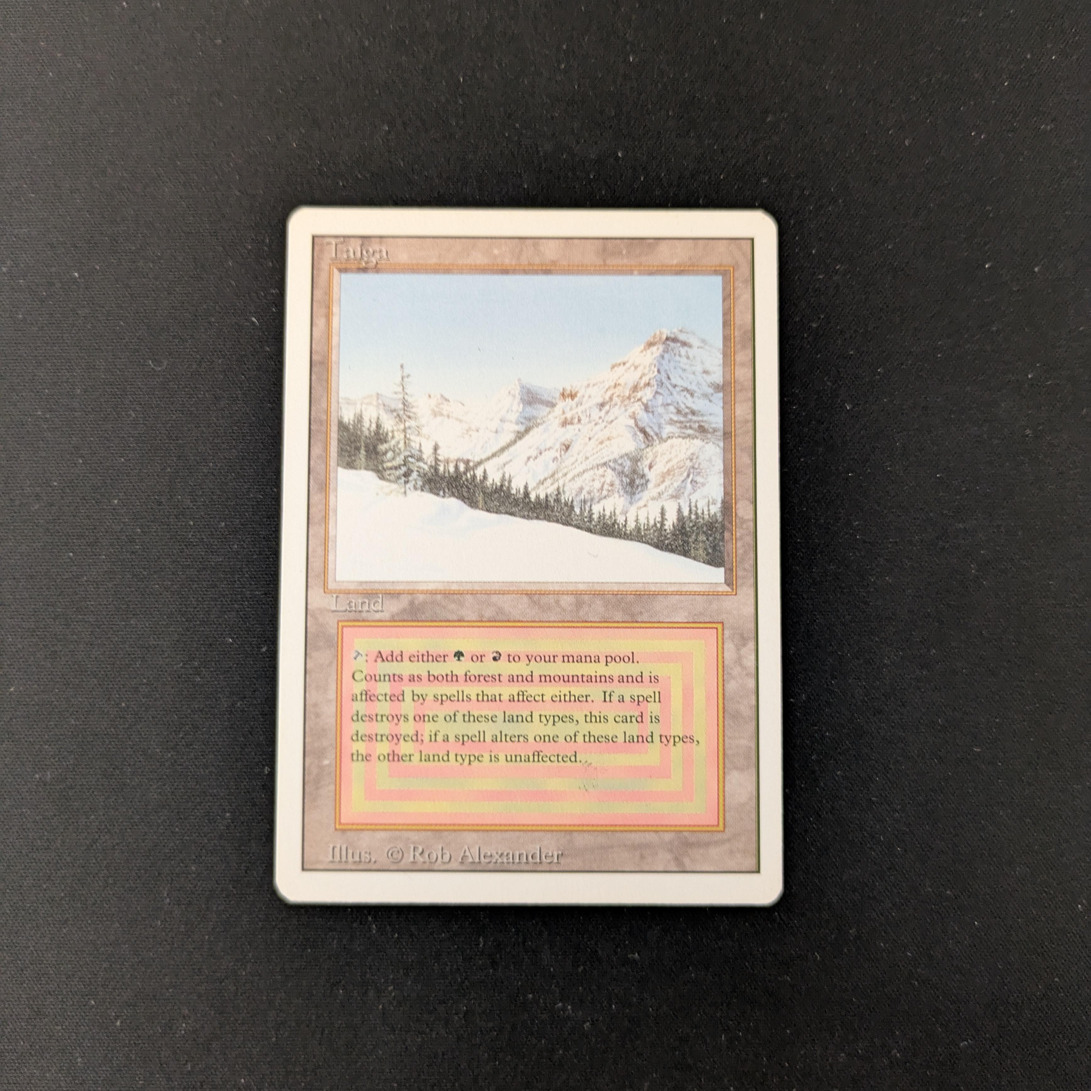 MTG Singles - Taiga - Revised - EX - 25387