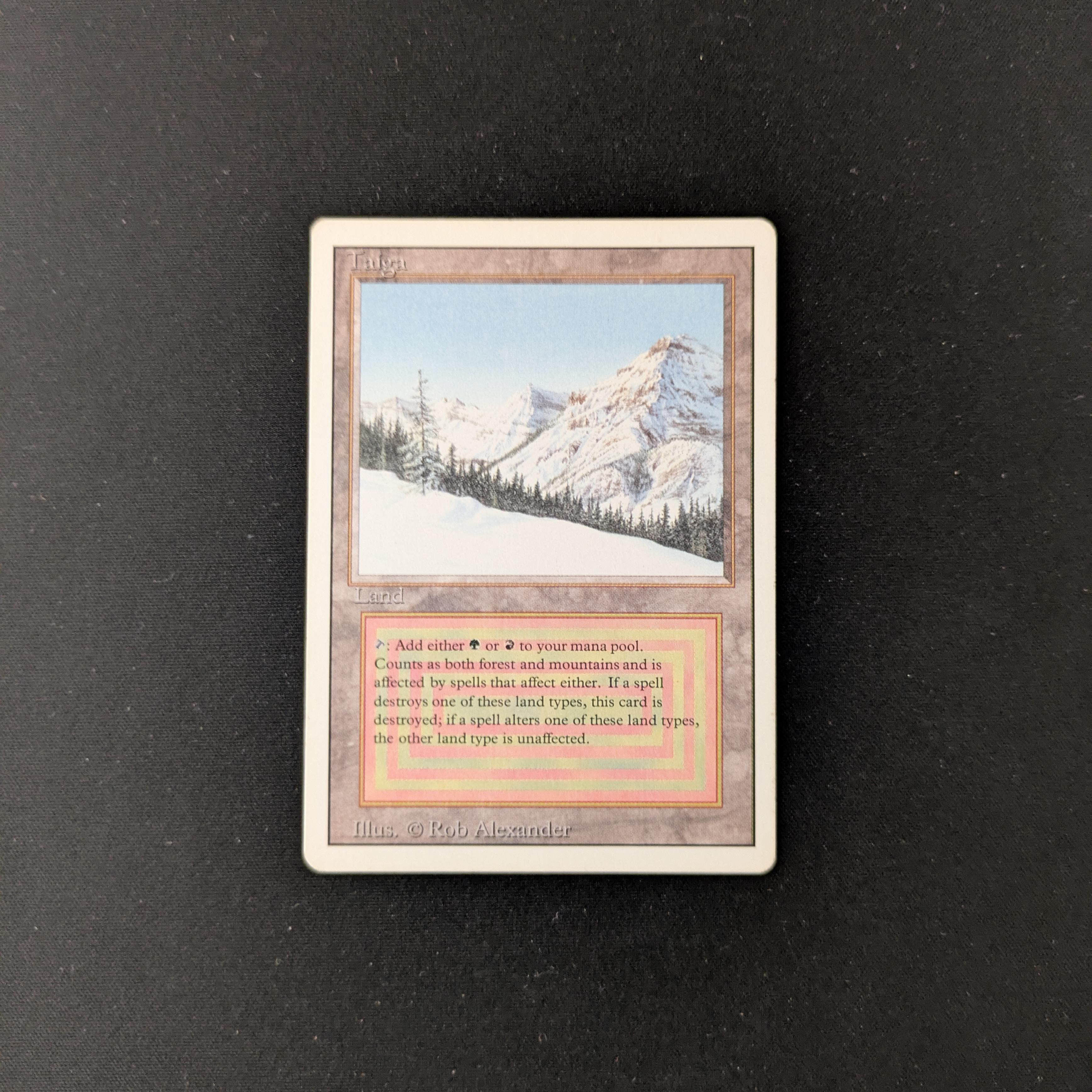 MTG Singles - Taiga - Revised - GD - 25388