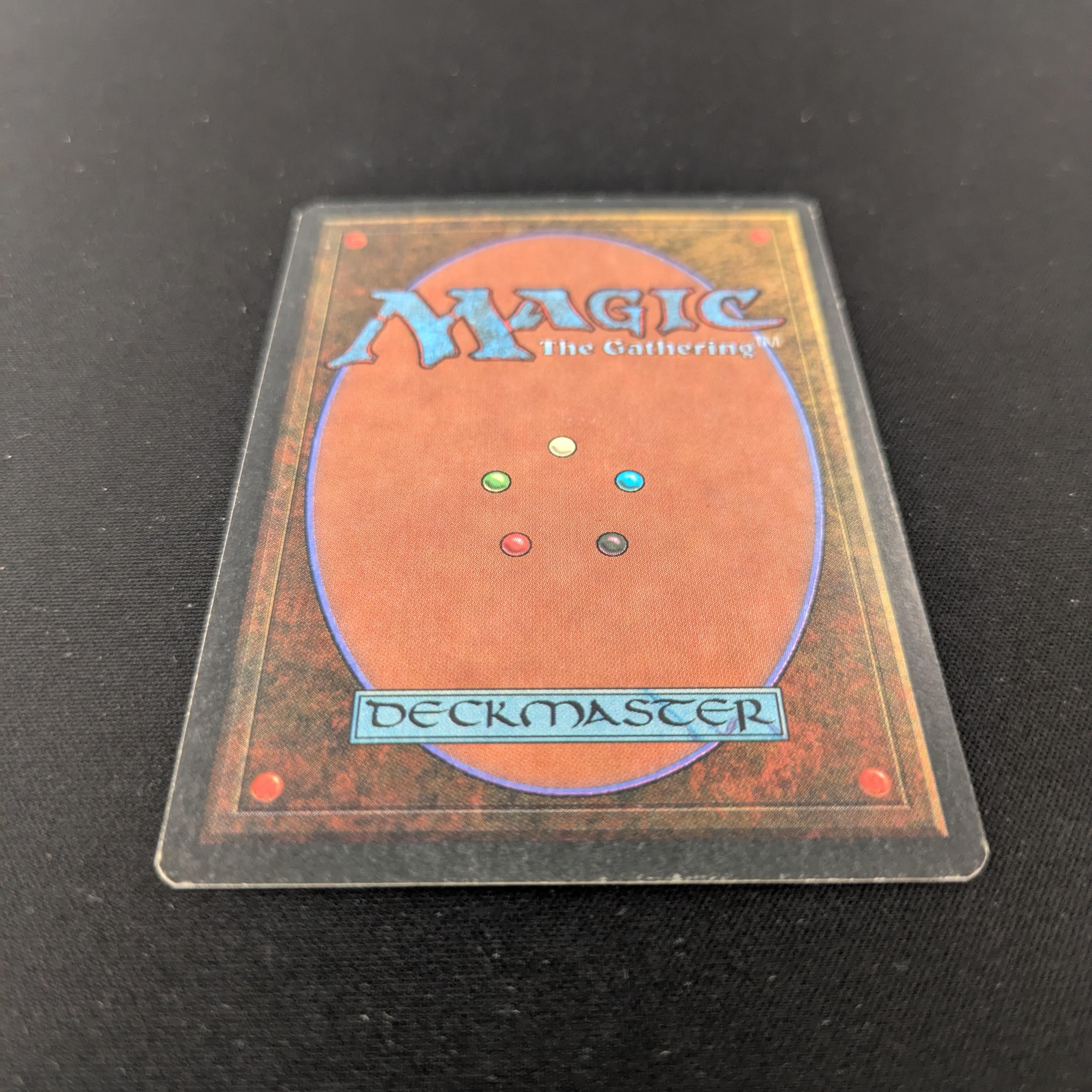MTG Singles - Taiga - Revised - 