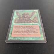 Magic the Gathering Living Lands - Beta 