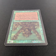 Magic the Gathering Living Lands - Beta 
