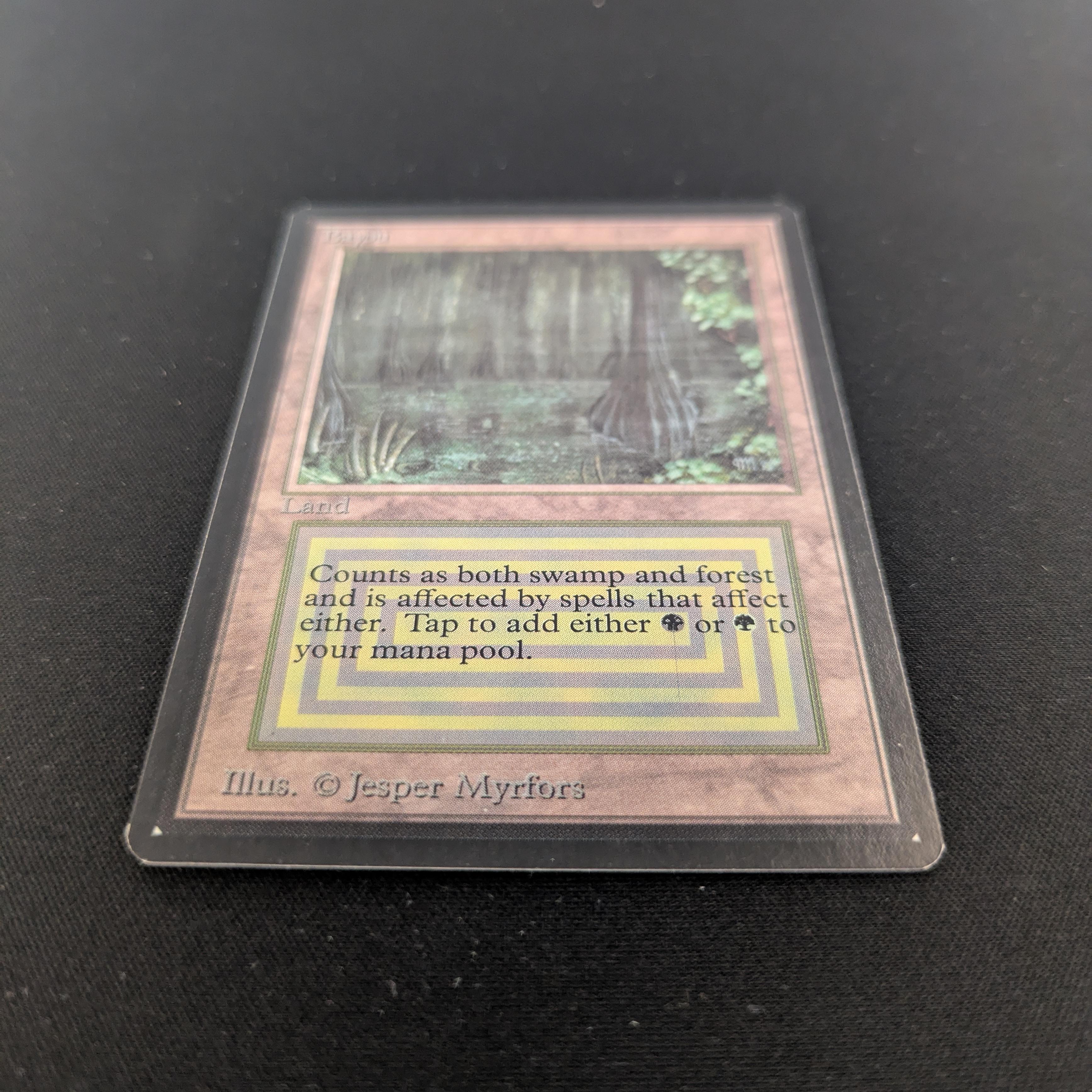Bayou - Beta