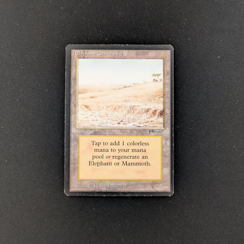 Magic the Gathering Elephant Graveyard - Arabian Nights LP - 25455