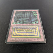 MTG Singles - Bayou - Foreign Black Bordered - German - 