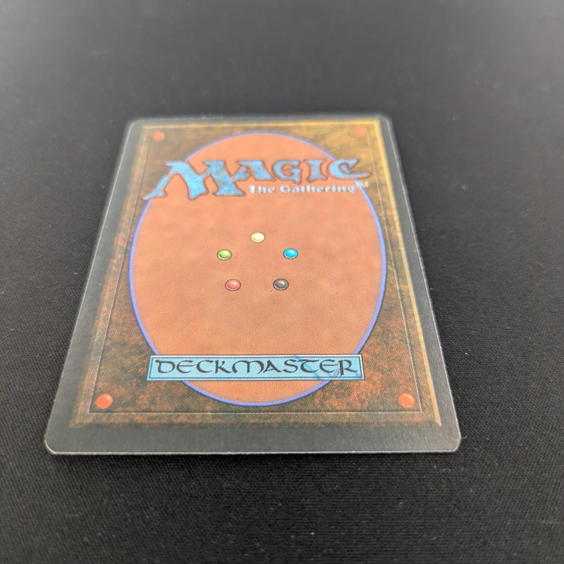 Magic the Gathering Savannah - Foreign White Bordered - German 