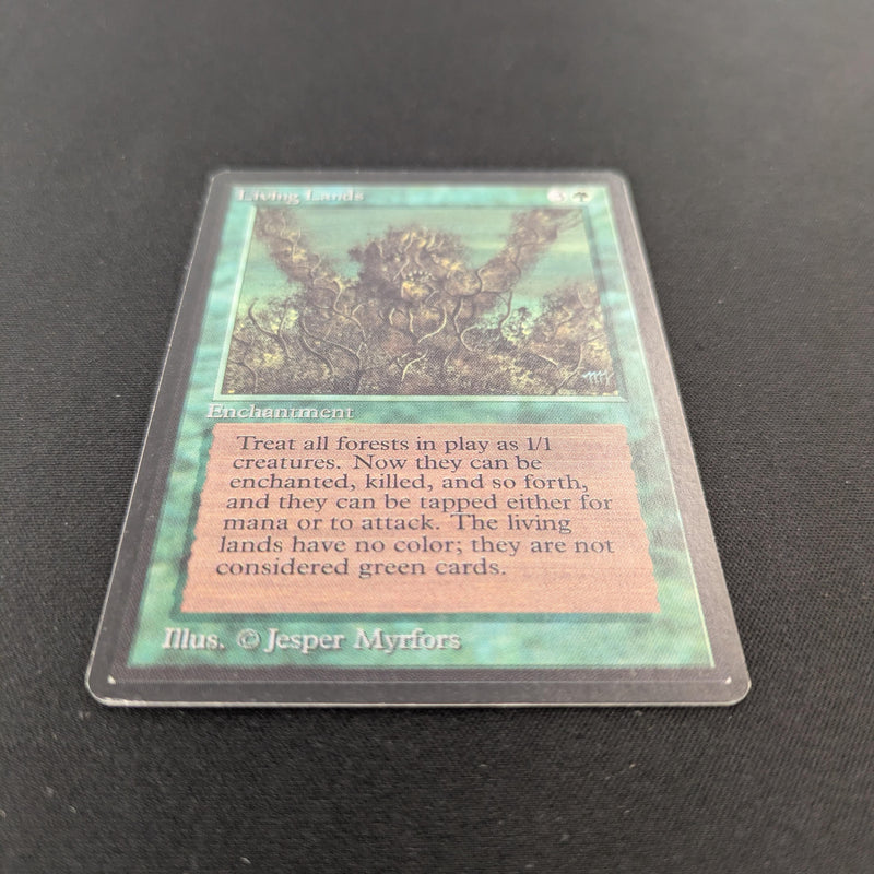 Magic the Gathering Living Lands - Beta 
