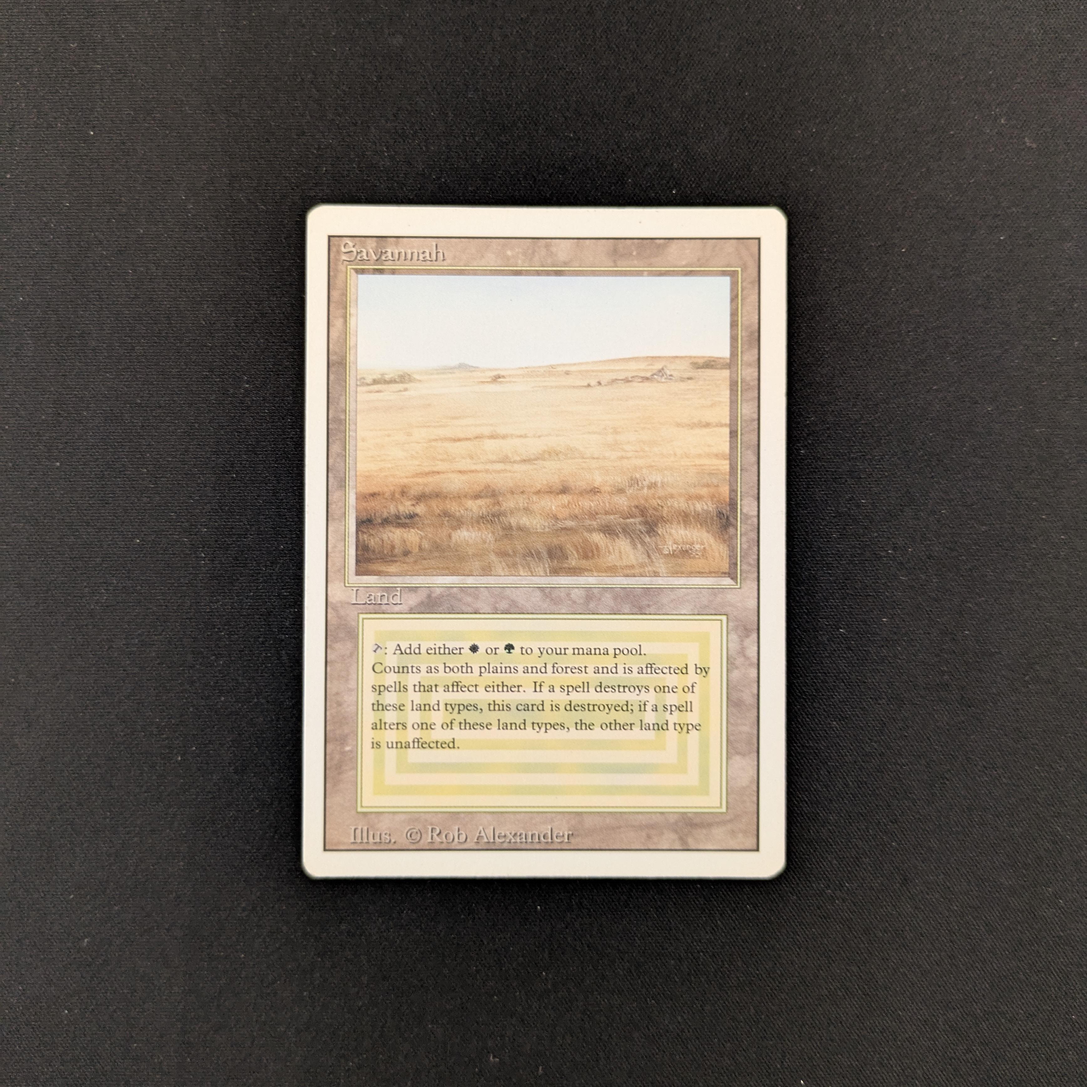 MTG Singles - Savannah - Revised - GD - 25544