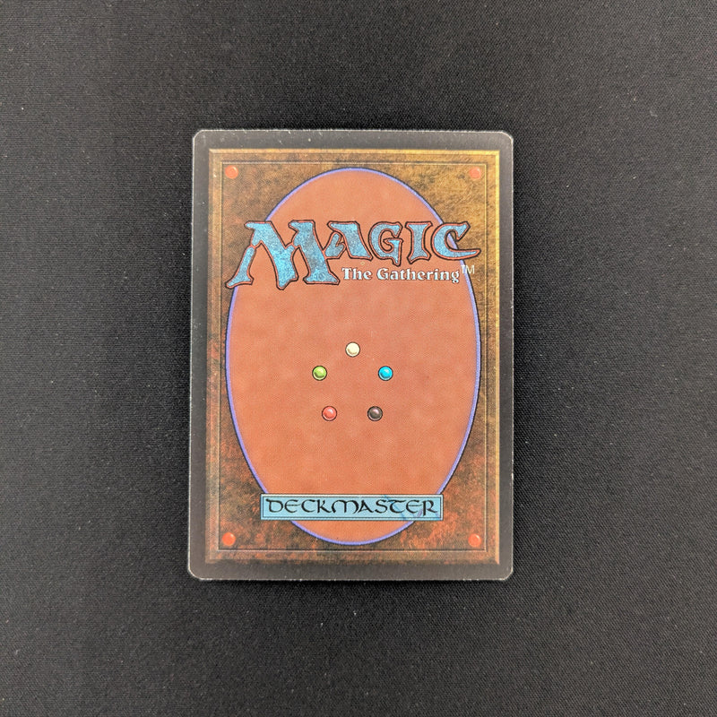 Magic the Gathering Savannah - Revised 