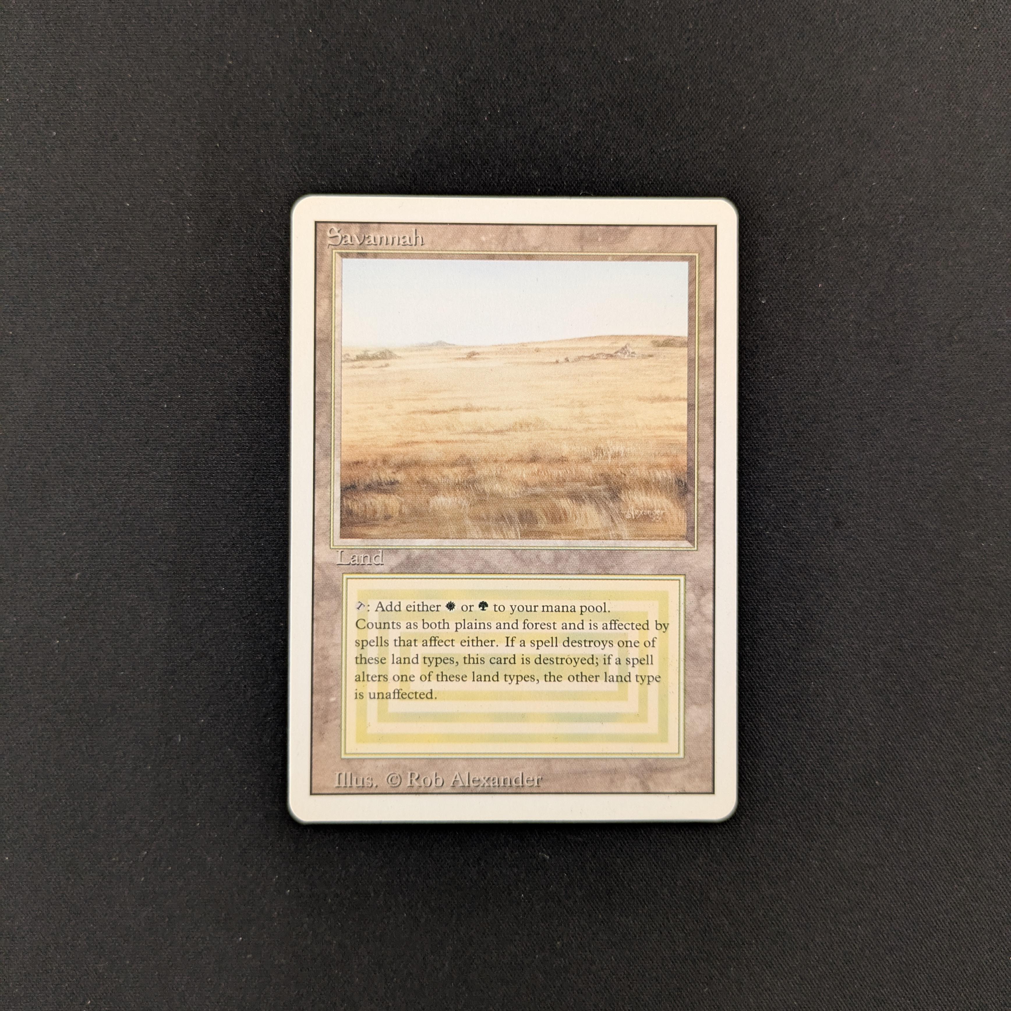 MTG Singles - Savannah - Revised - GD - 25545