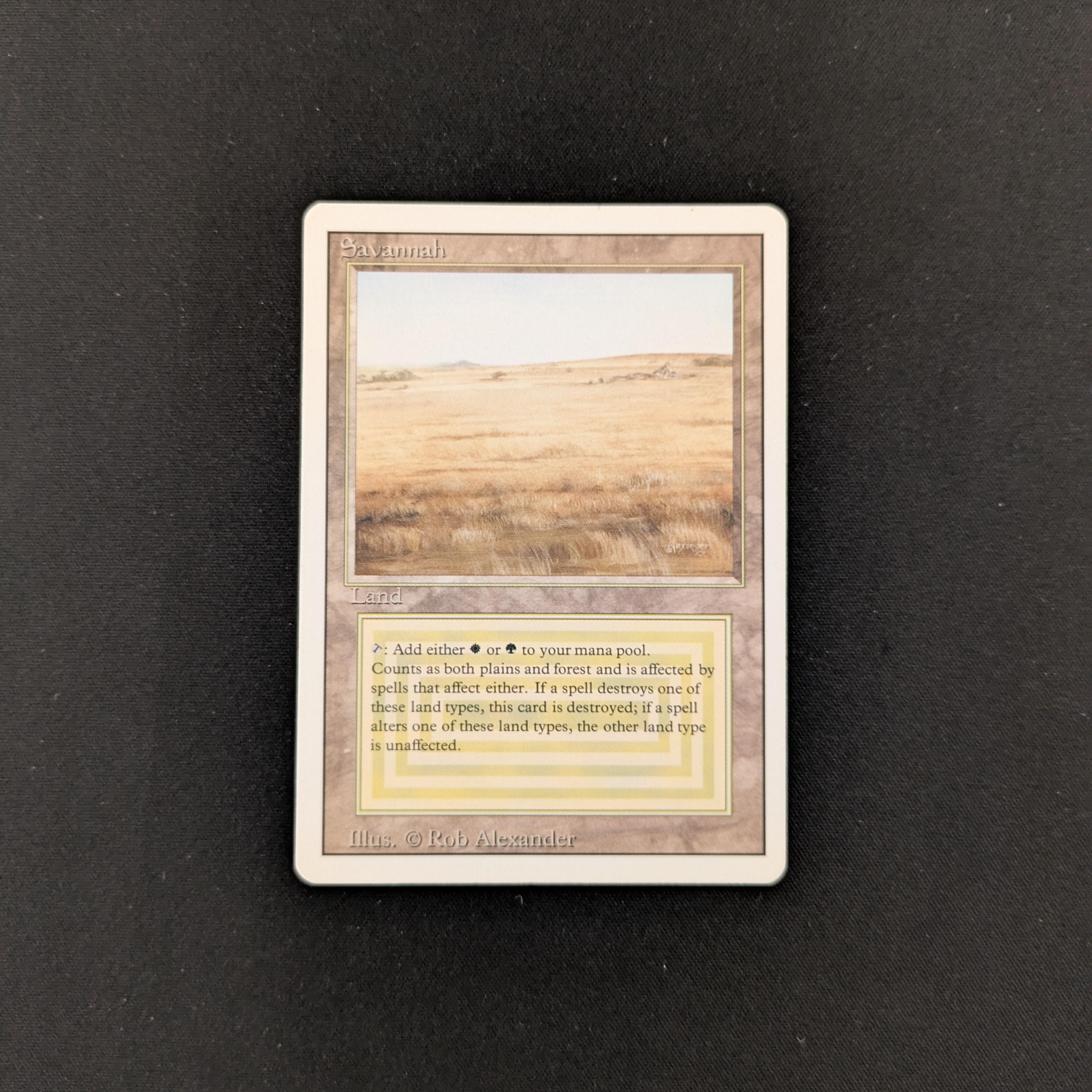 MTG Singles - Savannah - Revised - GD - 25546